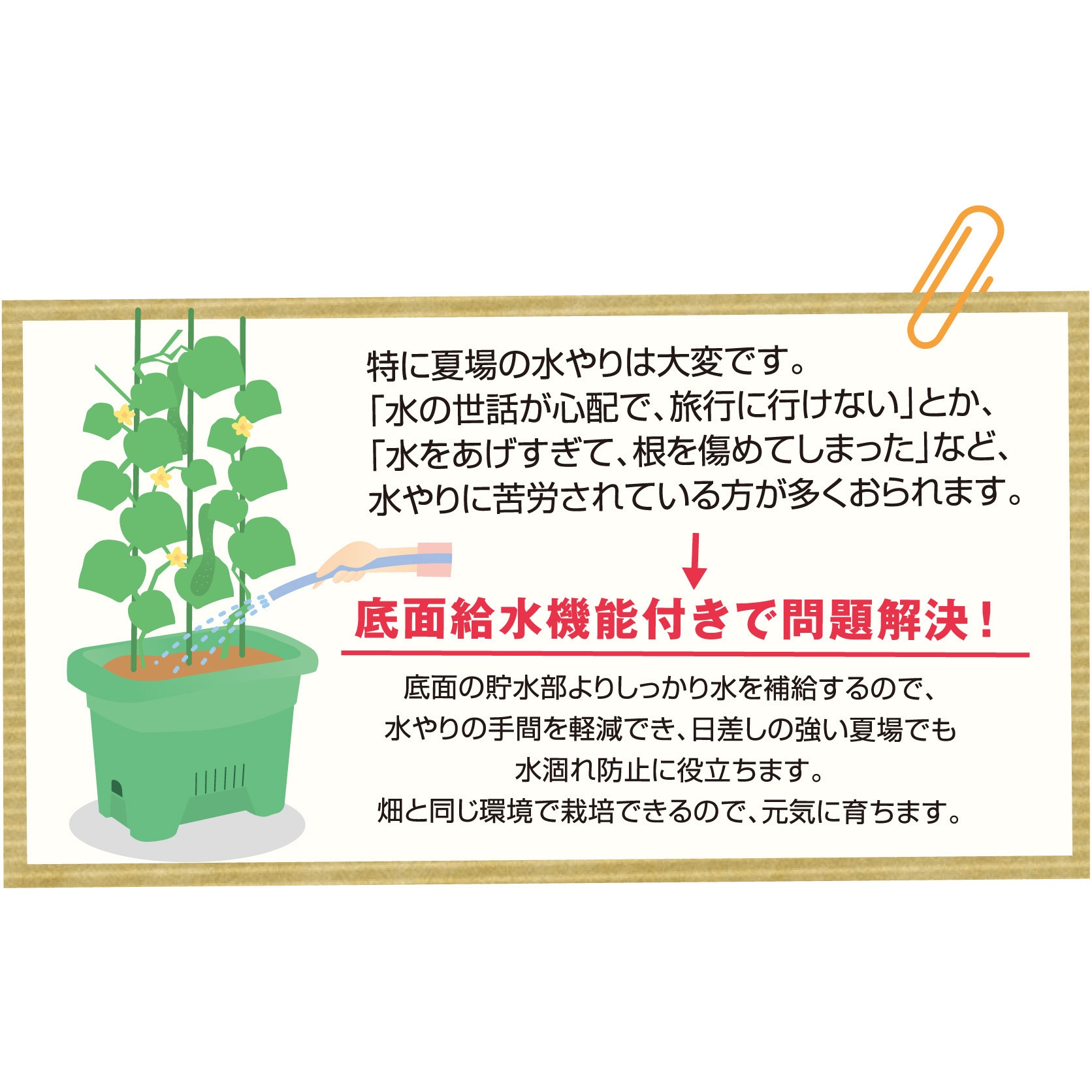 麺坊主　新品未使用　Eco Flow RIVER 2 Pro 収納袋付き ECOFLOW EcoFlow 公式 RIVER 2 シリーズ専用バッグ ポータブル
