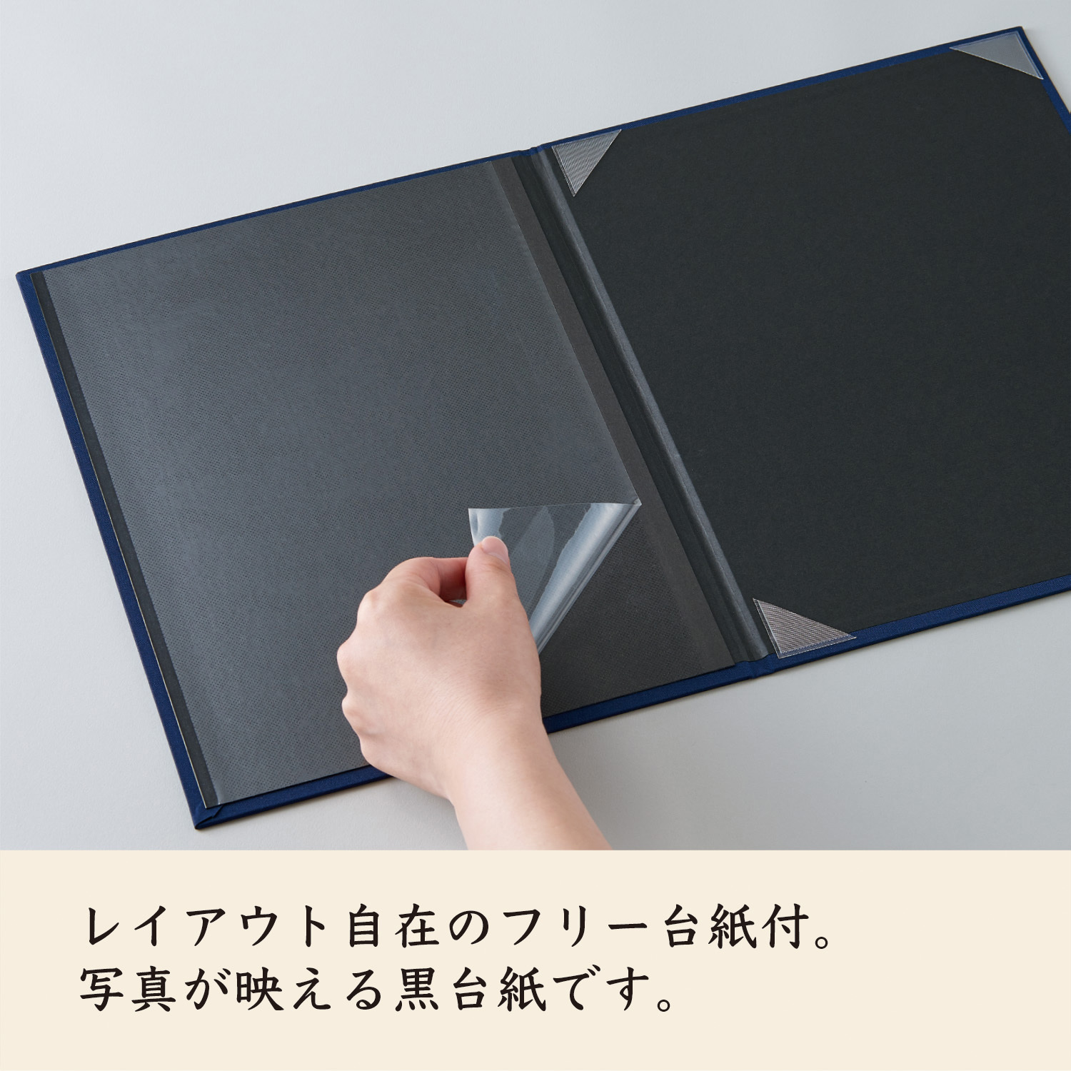 証書ホルダー フリー台紙付 セキセイ 証書ファイル 【通販モノタロウ】