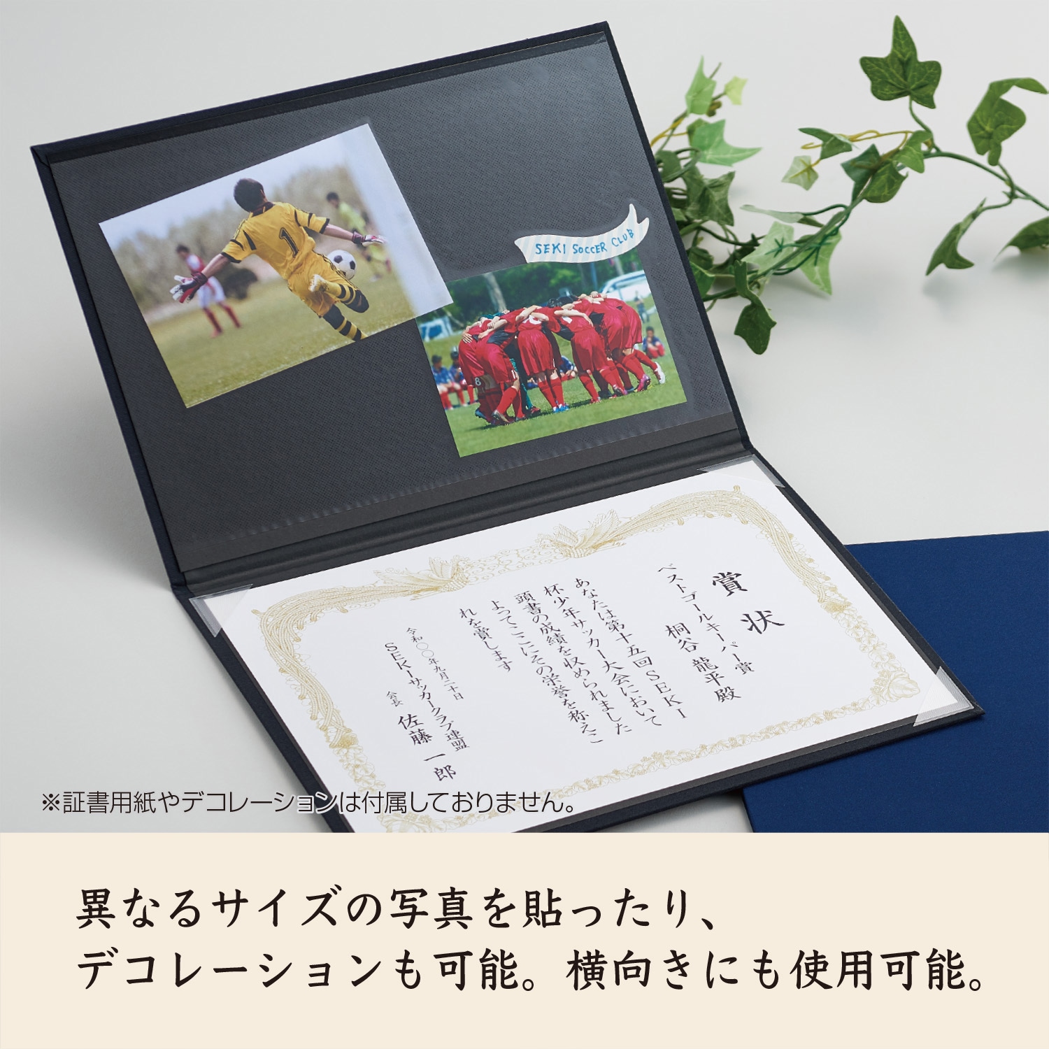 証書ホルダー フリー台紙付 セキセイ 証書ファイル 【通販モノタロウ】