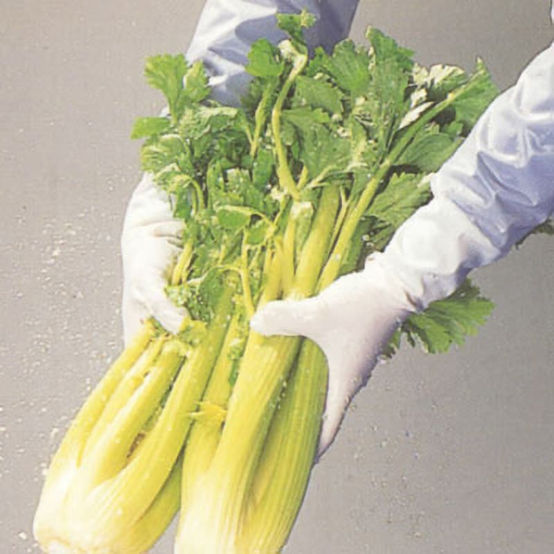 No.240 腕カバー付薄手 ショーワグローブ 1双入 防水 ホワイト色