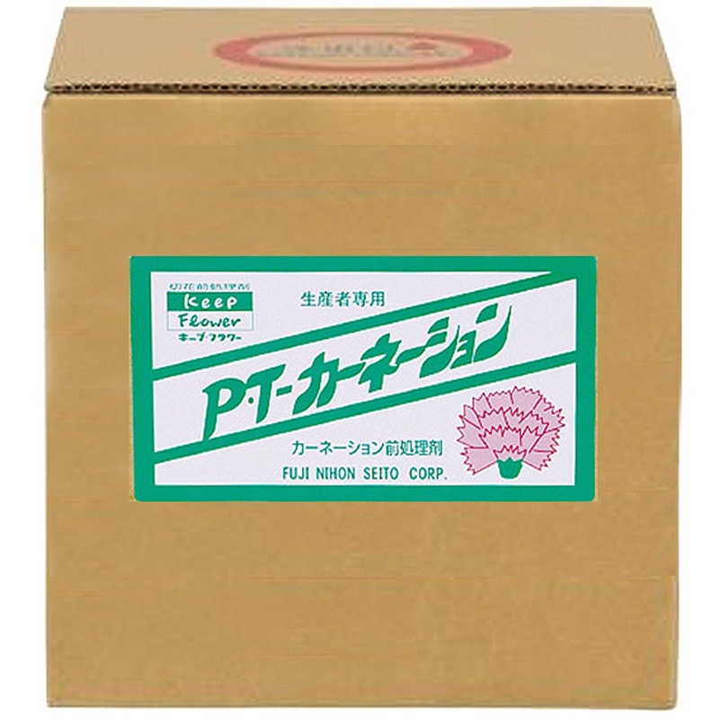 P・Tカーネーション 1個(5L) フジ日本精糖 【通販モノタロウ】