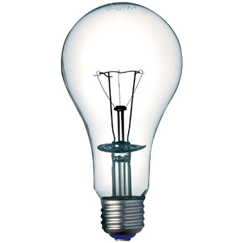 BB110V100W 防爆形照明器具用白熱電球 岩崎電気 口金E26 全光束1200Lm