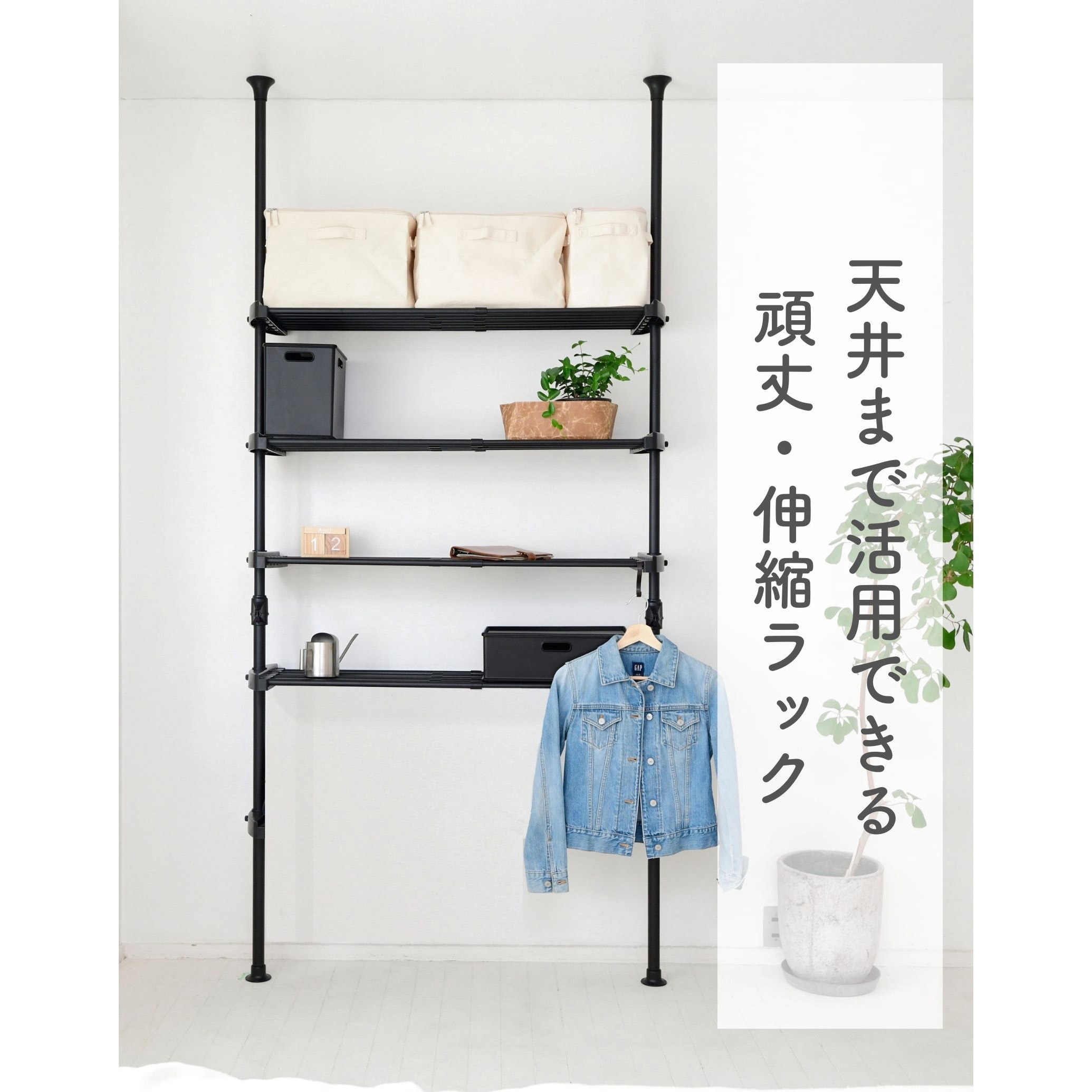 収納棚　ラック 楽天市場】収納ラック 2段 A4対応 本棚 収納棚 幅43.5 奥行39.5 高さ
