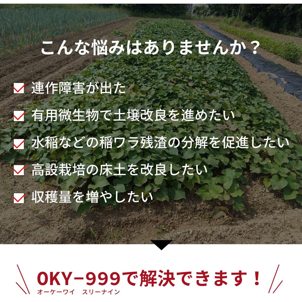 楽天市場】『Dr.トリコ菌』700ml《有機JAS適合品》 堆肥 家庭