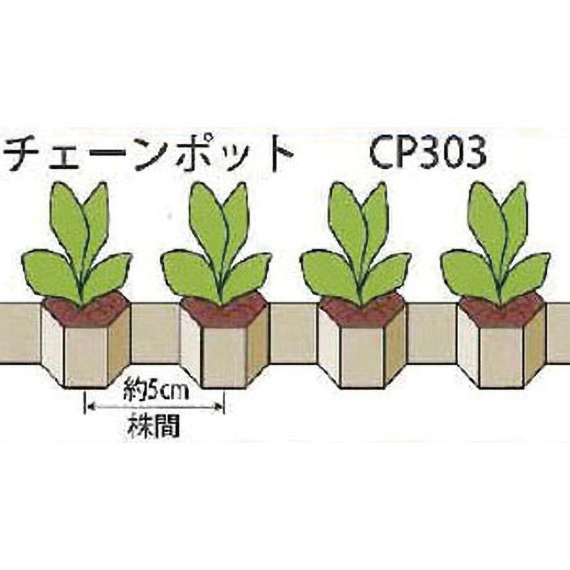 CP303 チェーンポット 1セット(150枚) 日本甜菜製糖 【通販