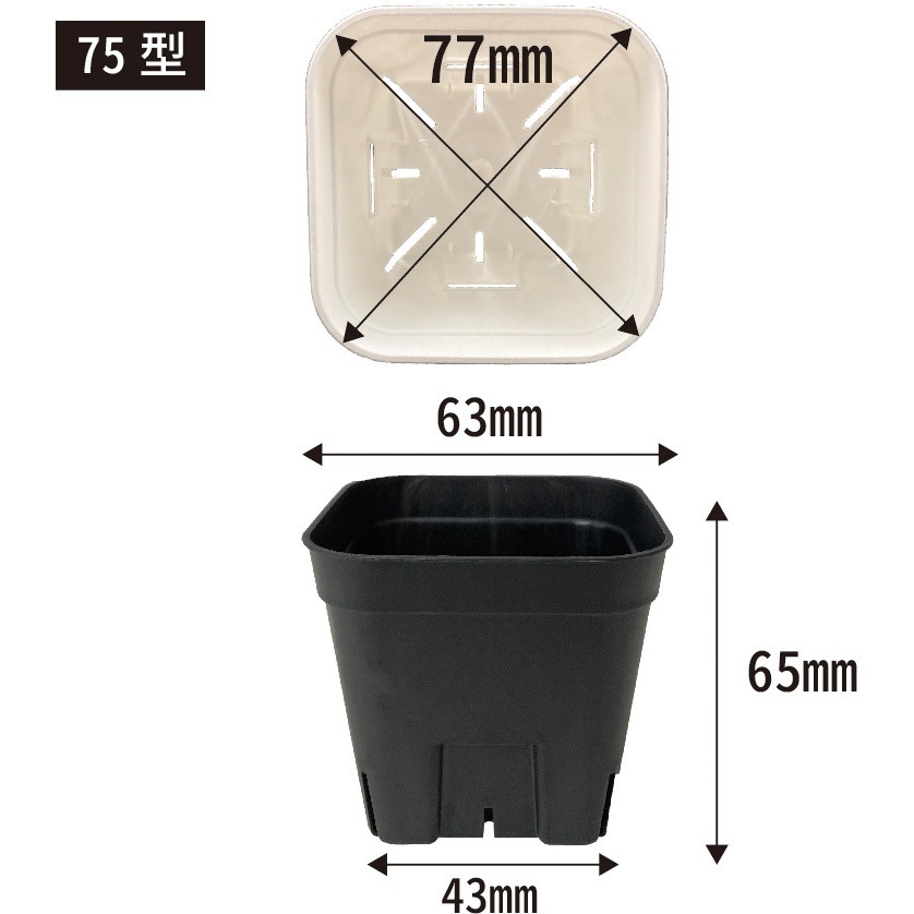 プレステラ アップルウェアー 75型サイズ 1セット(10個組) - 【通販