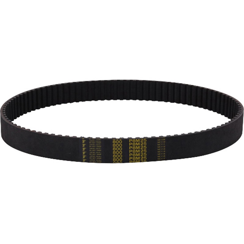 殿堂ベルト　psa9 殿堂ベルト psa9