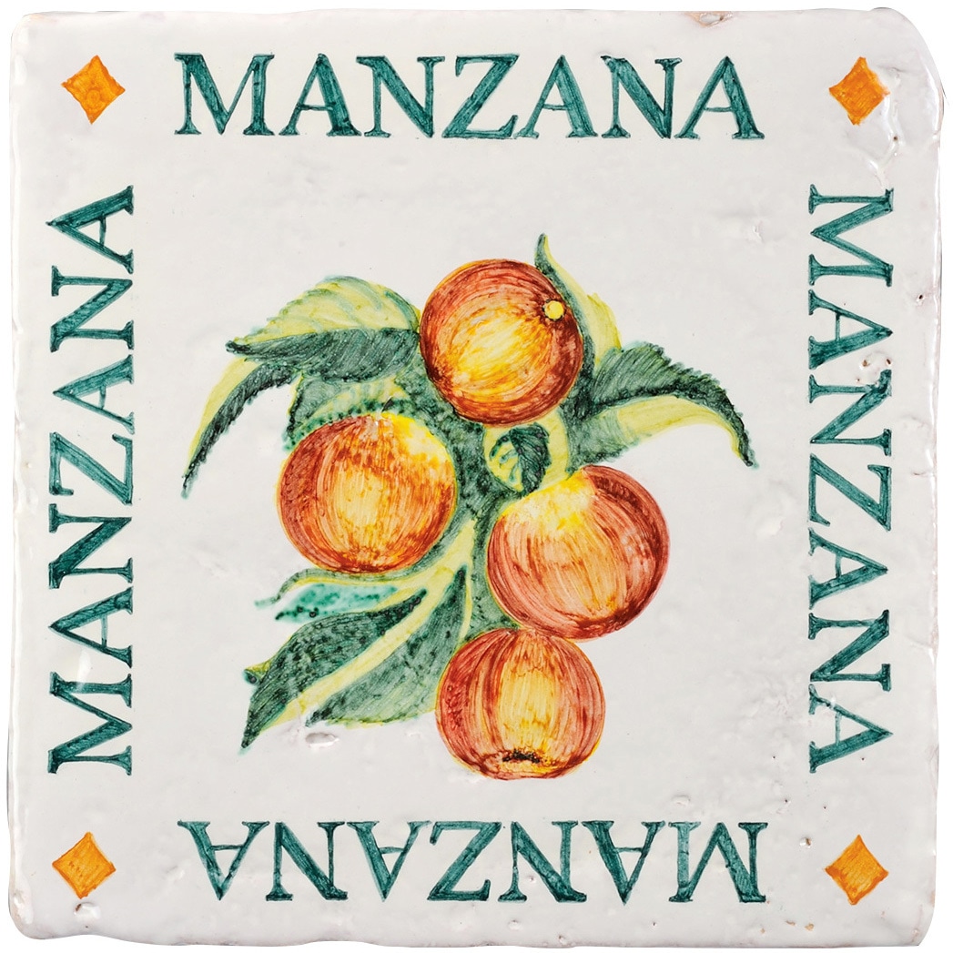 JHIST-ALTAP ティピカルスパニッシュデザインタイル(手描き) MarvelEX(マーヴェレックス) テラコッタ 寸法20×300×300mm  JHIST-ALTAP 16,485円