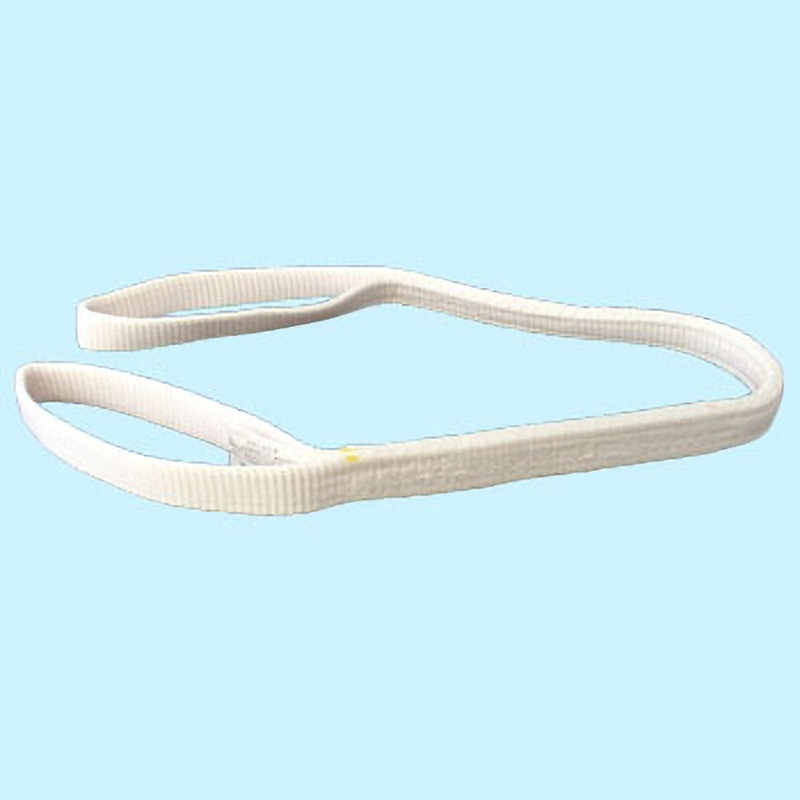 ‐ 耐化学薬品用スリング(JIS2等級・両端アイタイプ) テザック 荷重0.63t 幅25mm長さ5.5m