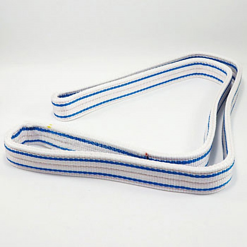 ‐ 耐化学薬品用スリング(JIS2等級・エンドレス形) テザック 荷重2.5t 幅50mm長さ1.25m 5,082円