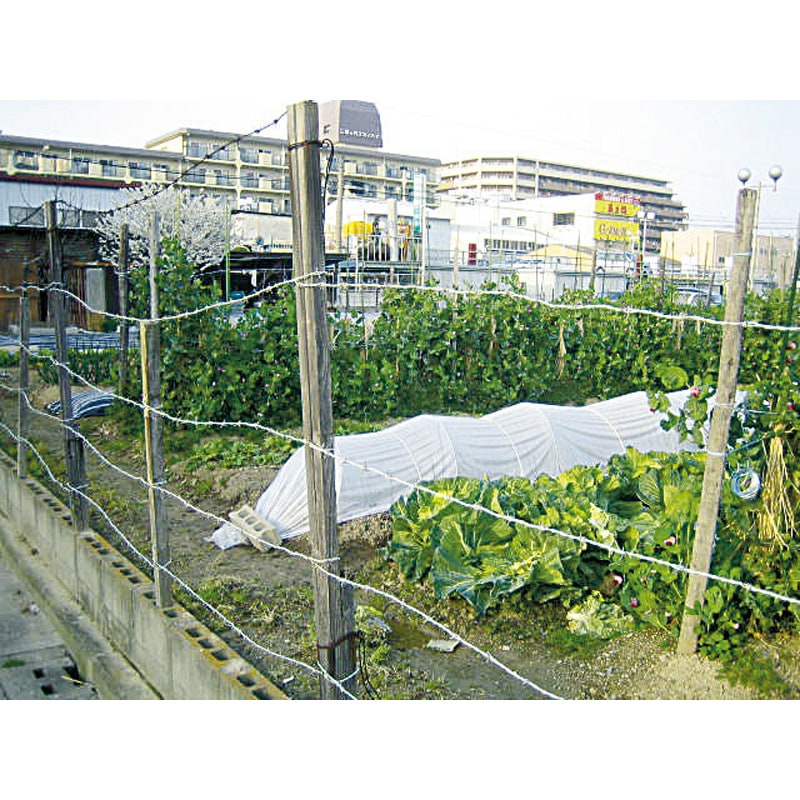 TUW-16-20 有刺鉄線 TRUSCO 線径1.6mm長さ20m TUW-16-20 【通販