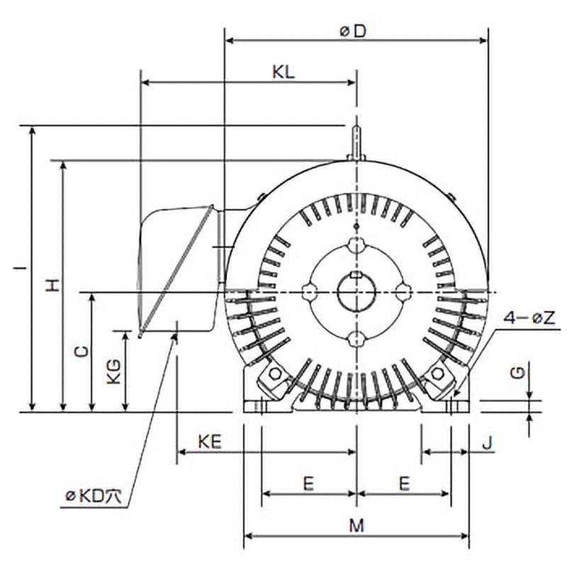 プレミアムゴールドモートル 全閉外扇屋内形・脚取付 極数:4P 200/200/220V 汎用モーター 三相 出力55kW