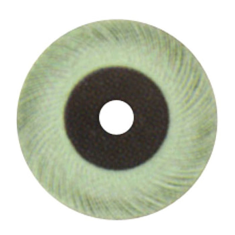 BRBRSHTC1M6 ラジアル・ブリッスルブラシ 3M(スリーエム) 外径152.4mm穴径25.4mm  BRBRSHTC1M6