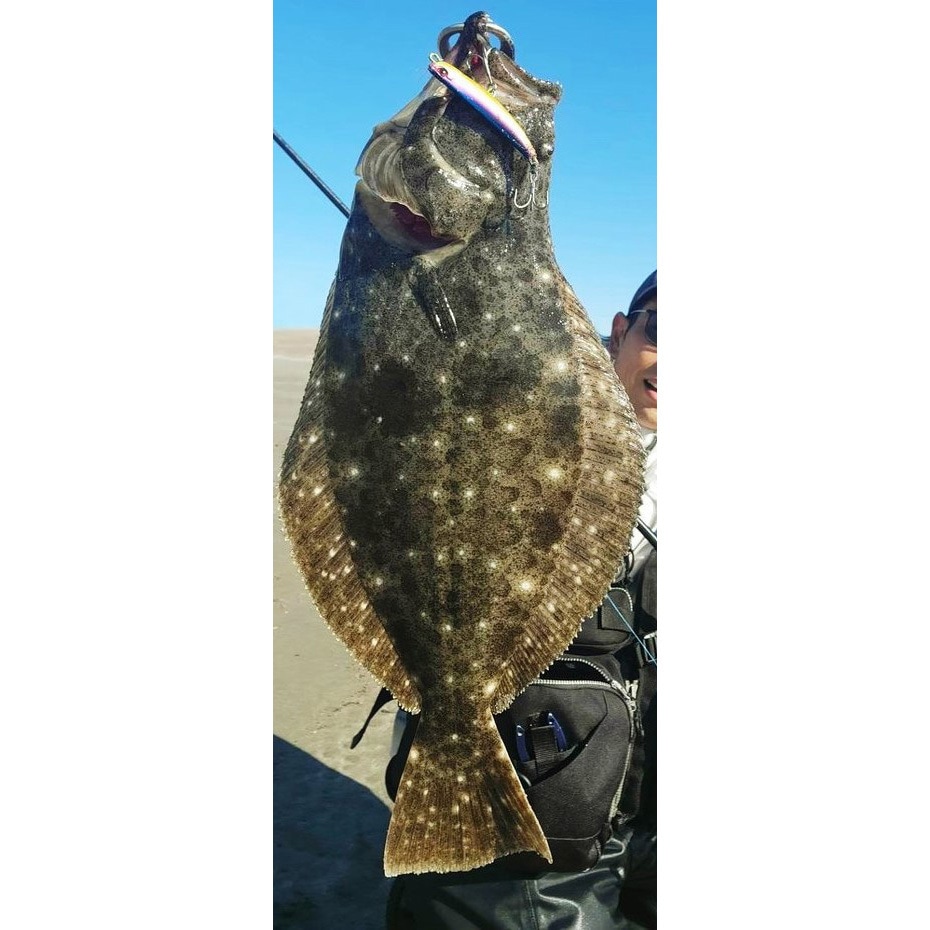 GQA0063 ヒラメゴールド ビーチウォーカー フリッパー40 デュオ