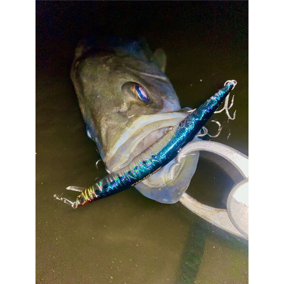 DUO タイドミノー フライヤー 175 4本セット DOU タイドミノースリム