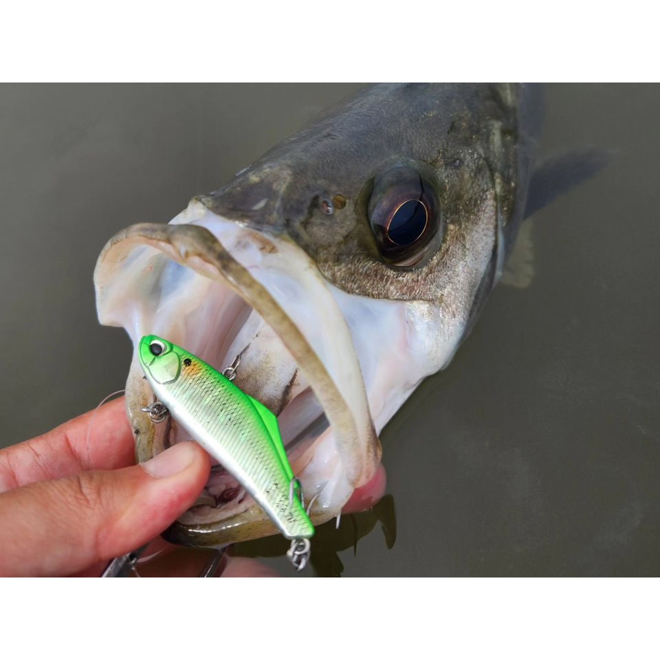 PPA0026 アカキン メタルガレージ プレートバイブ15g デュオ PPA0026