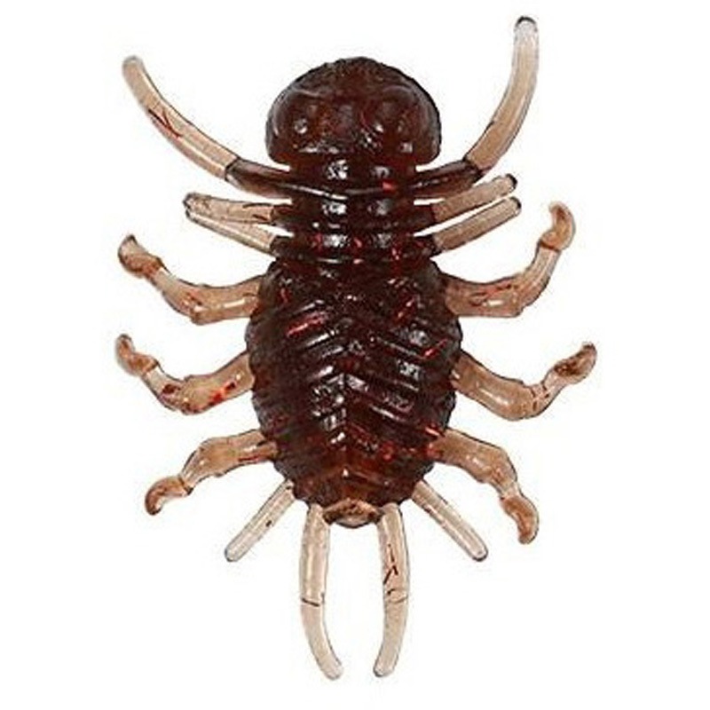 F607 タガメ レアリス 小忍虫(KONINMUSHI) デュオ 4個入 F607 タガメ色