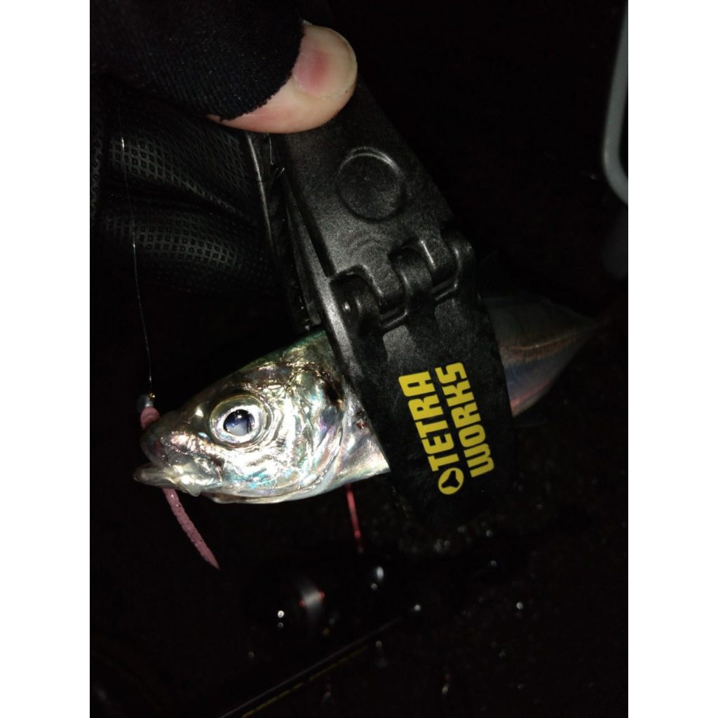 S524 UVムラムラっこ テトラワークス グラッパー デュオ 10本入 S524