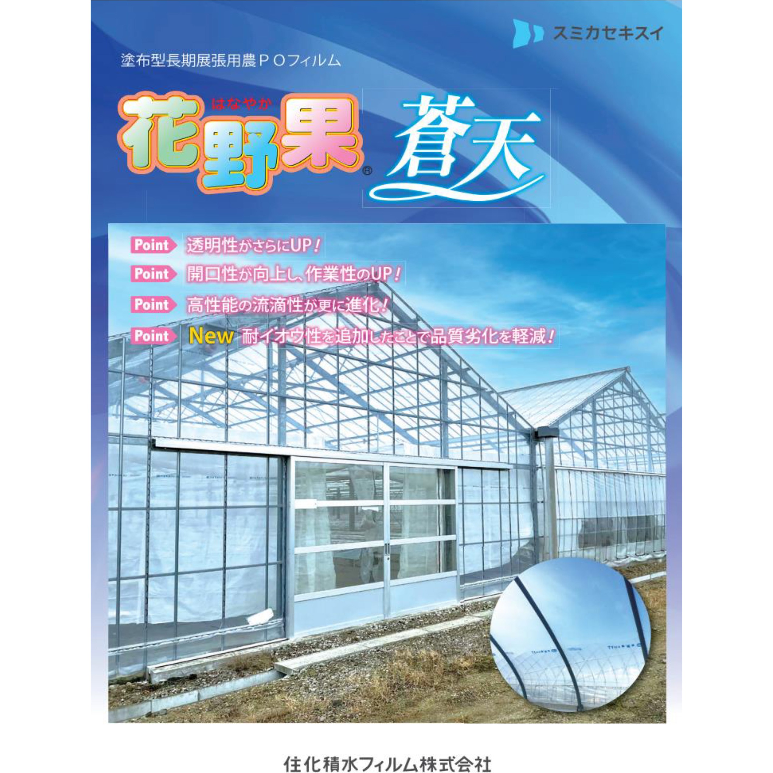花野果蒼天 1枚 住化積水フィルム 【通販モノタロウ】