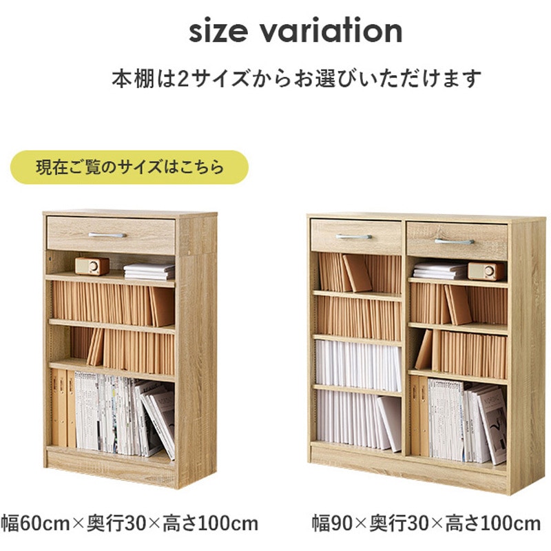 RCC-1707NA 1cm刻みで調節できる 本棚 幅60cm 萩原 備考:組立式/可動棚