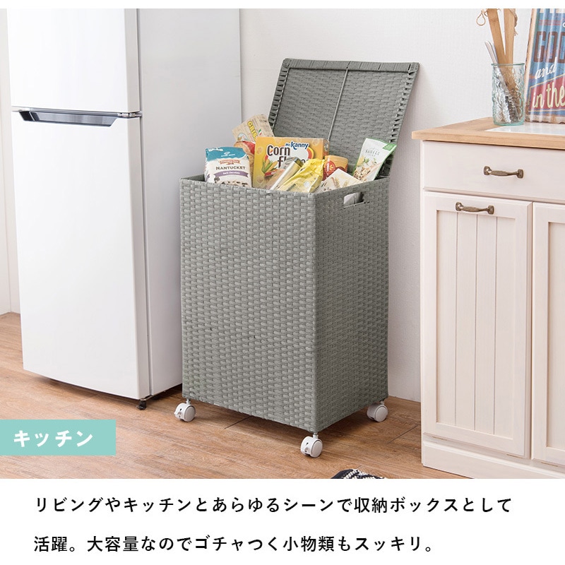 裸婦 根付② 紙箱付き RUD-2422WH ふた付きランドリーボックス 幅50cm 萩原 1台(1台