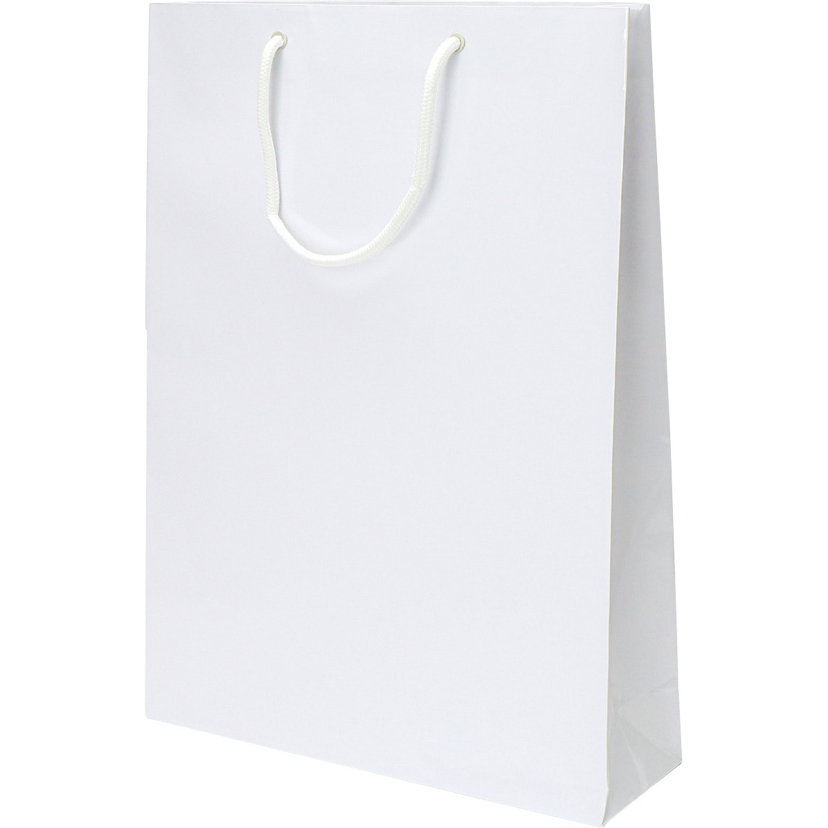 白 L 手提げ紙袋(PPフィルム貼り) 1パック(10枚) HEIKO 【通販サイト