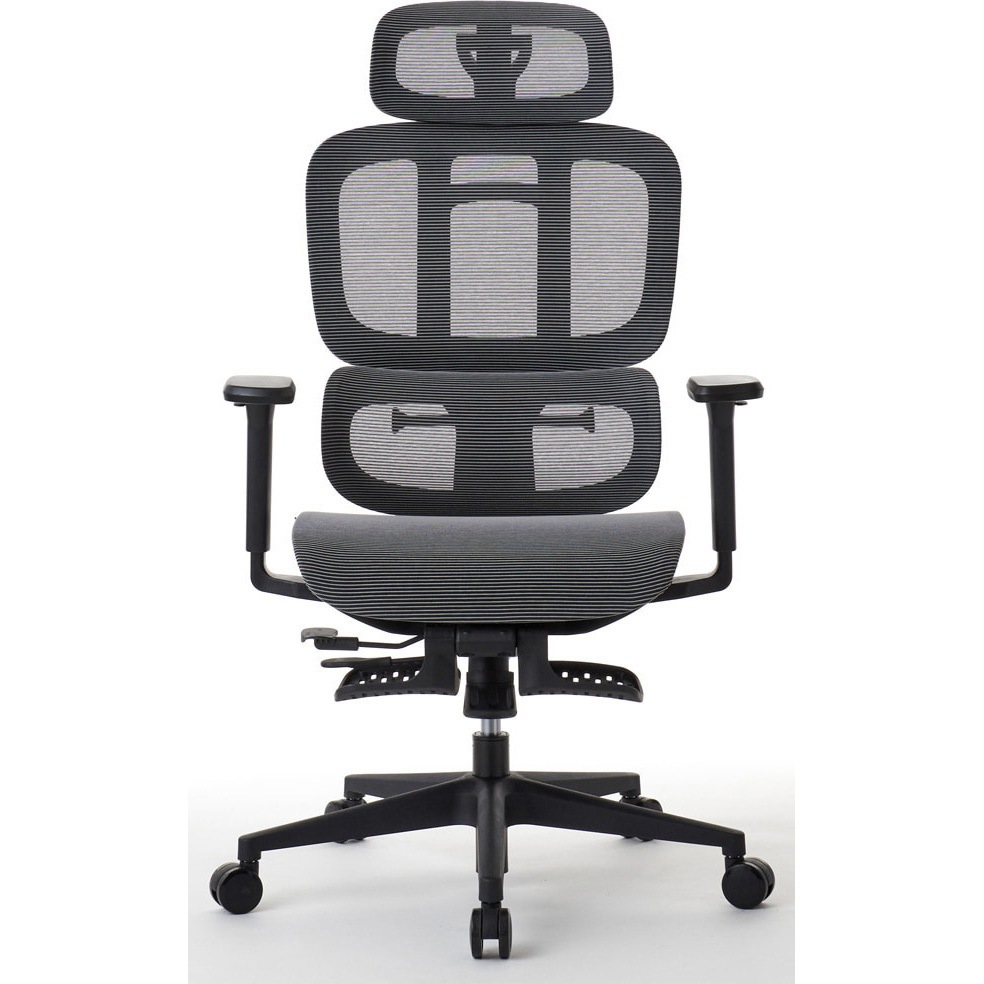 RM5-GY 多機能フルメッシュワークチェア M5シリーズ ROOM WORKS(ルームワークス) キャスターあり グレー色   RM5-GY