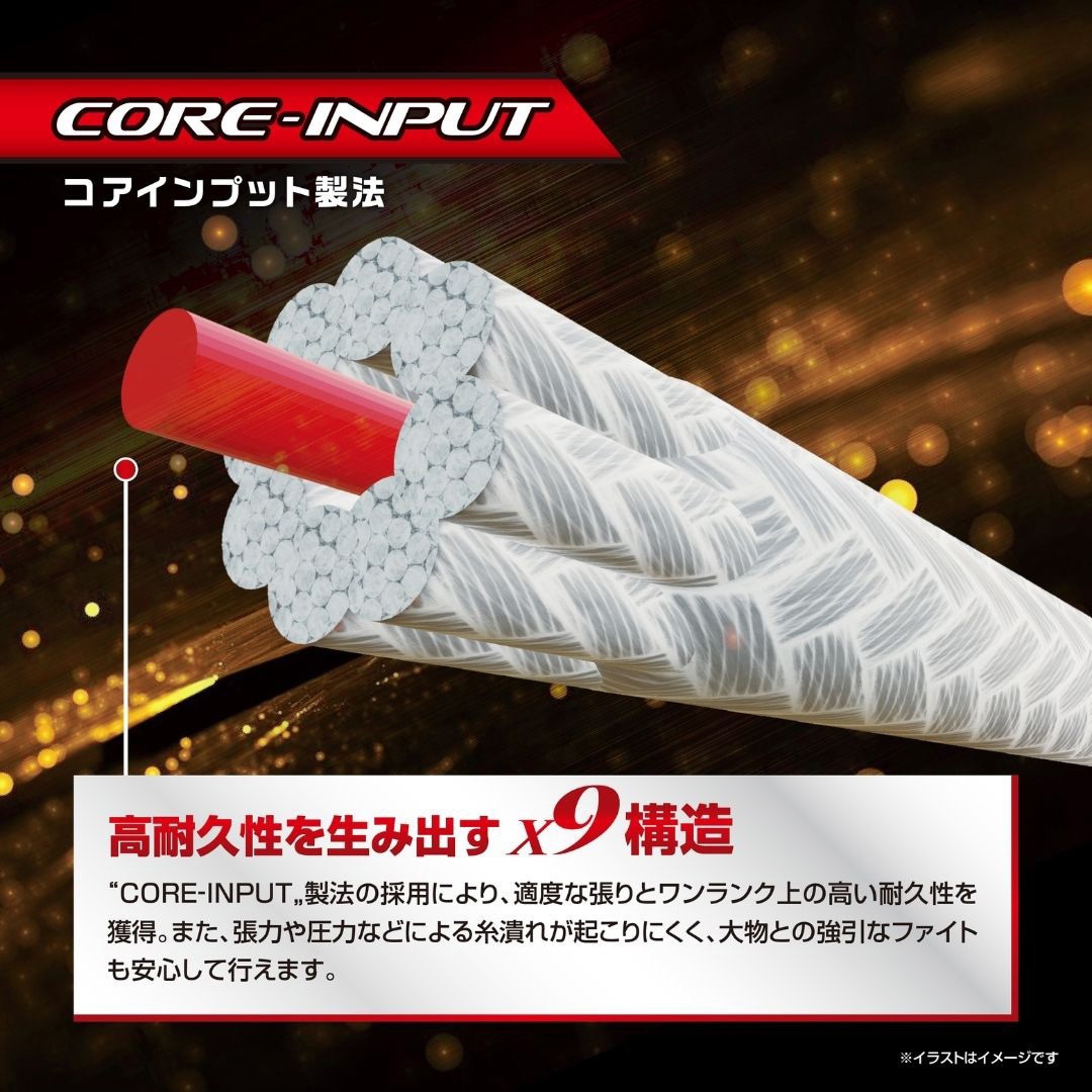 600m 5号 アバニ ジギング10X10マックスパワーPE X9 VARIVAS 長