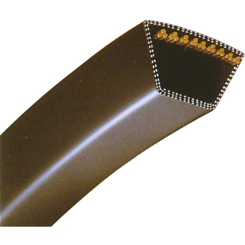 スターチーム　ベルト $_57.JPG?set_id=8800005007