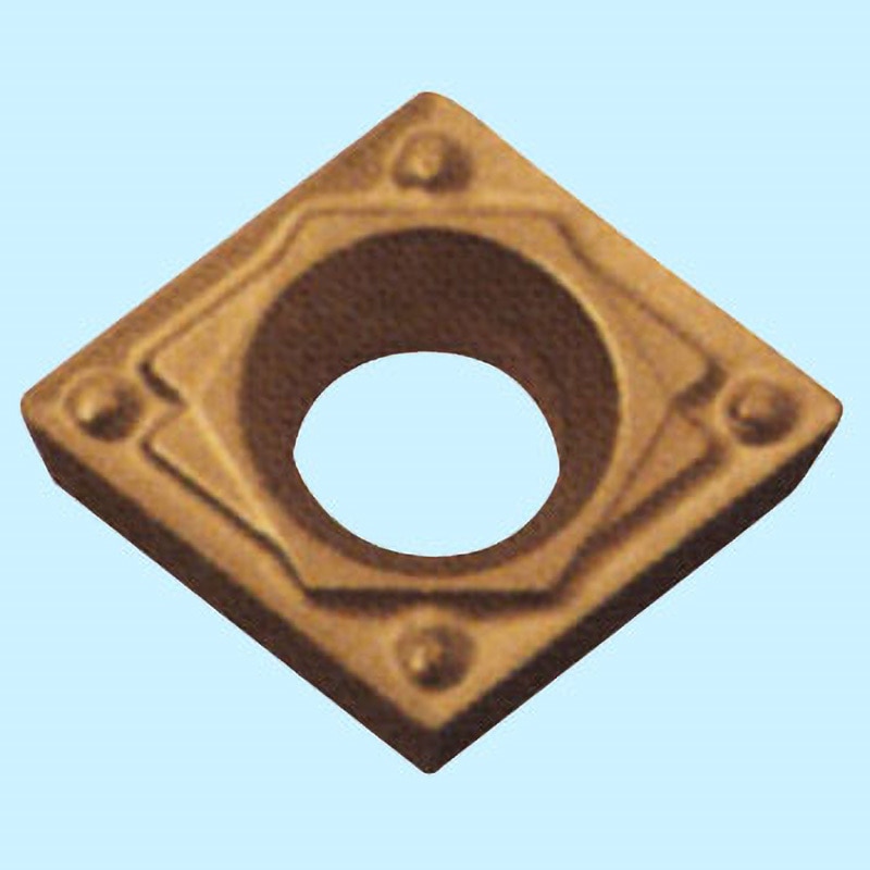 ばらばら バラ刺繍ZIPパーカー | チャライダーSTORE