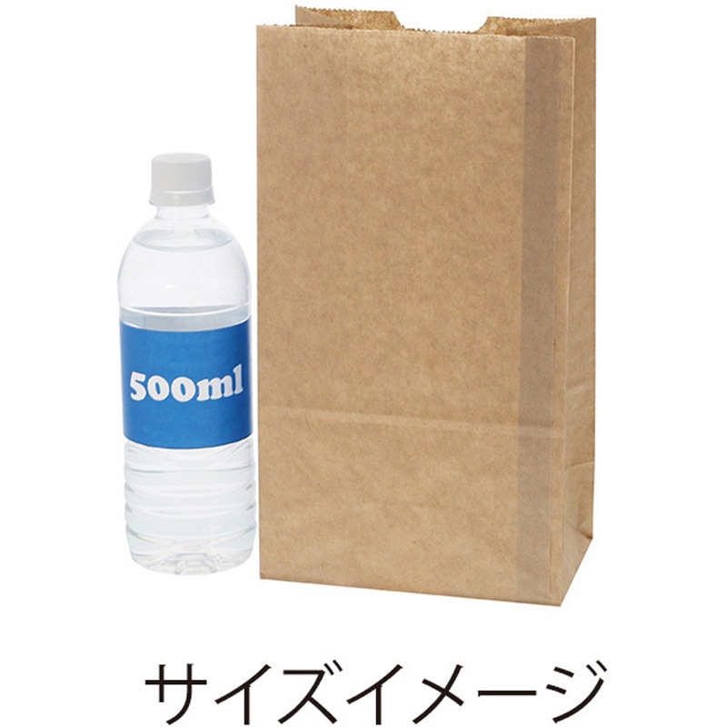 No.6 Eタイプ 未晒無地 角底袋 Eタイプ SWAN 未晒色 1パック(100