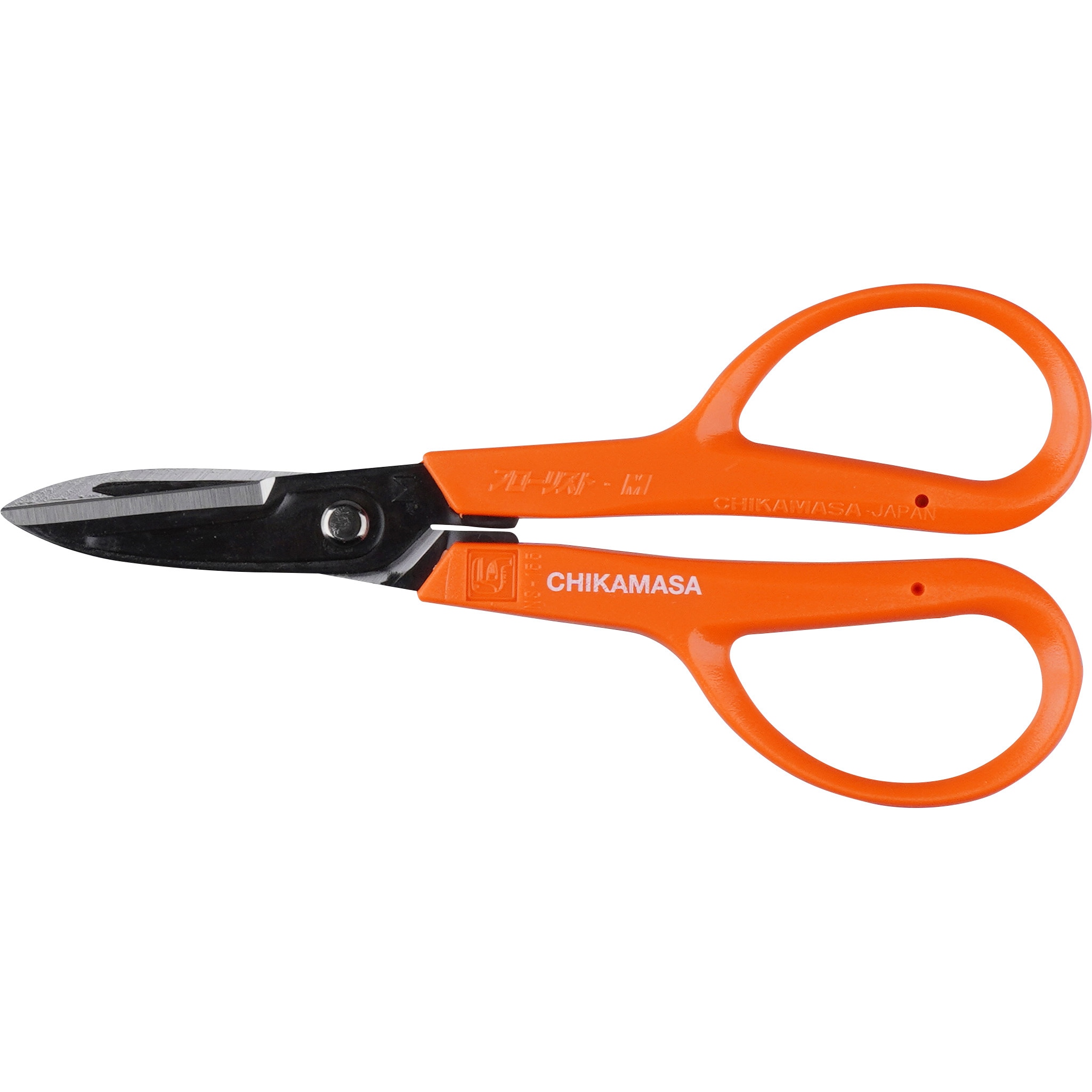 katayama33出品 8369543.jpg