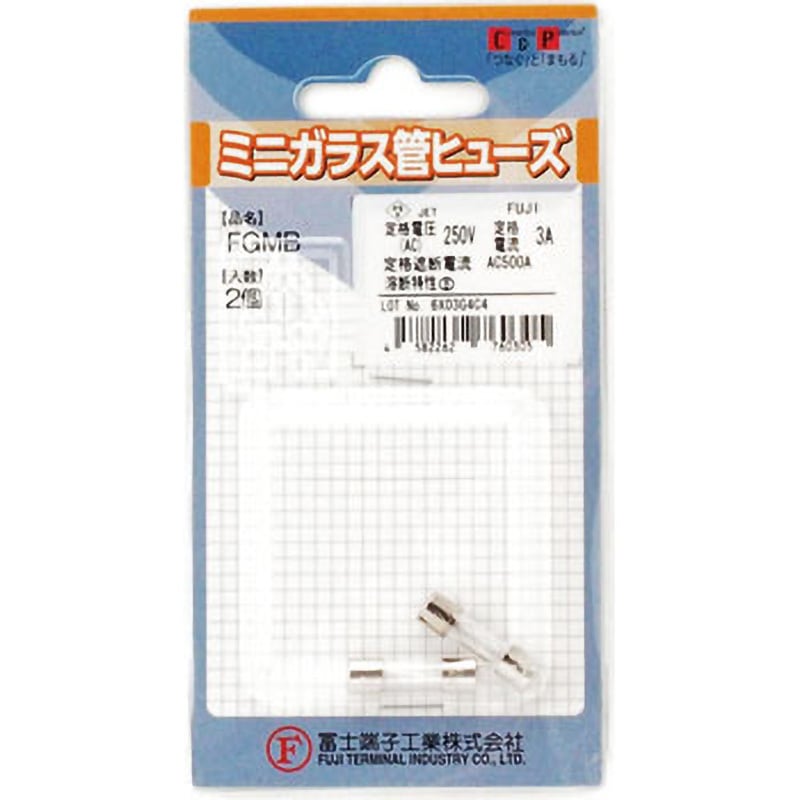 WITONICS BUSSMANN GMA 2.5A 250v GLASS Fast Blow Fuses 5x20mm, F2.5A, 2.5  Amp, (BK/ 5個パック、GMA 6.3A 250V 高速吹きガラスヒューズ、5x20mm (3/16インチ x 3/4インチ) -