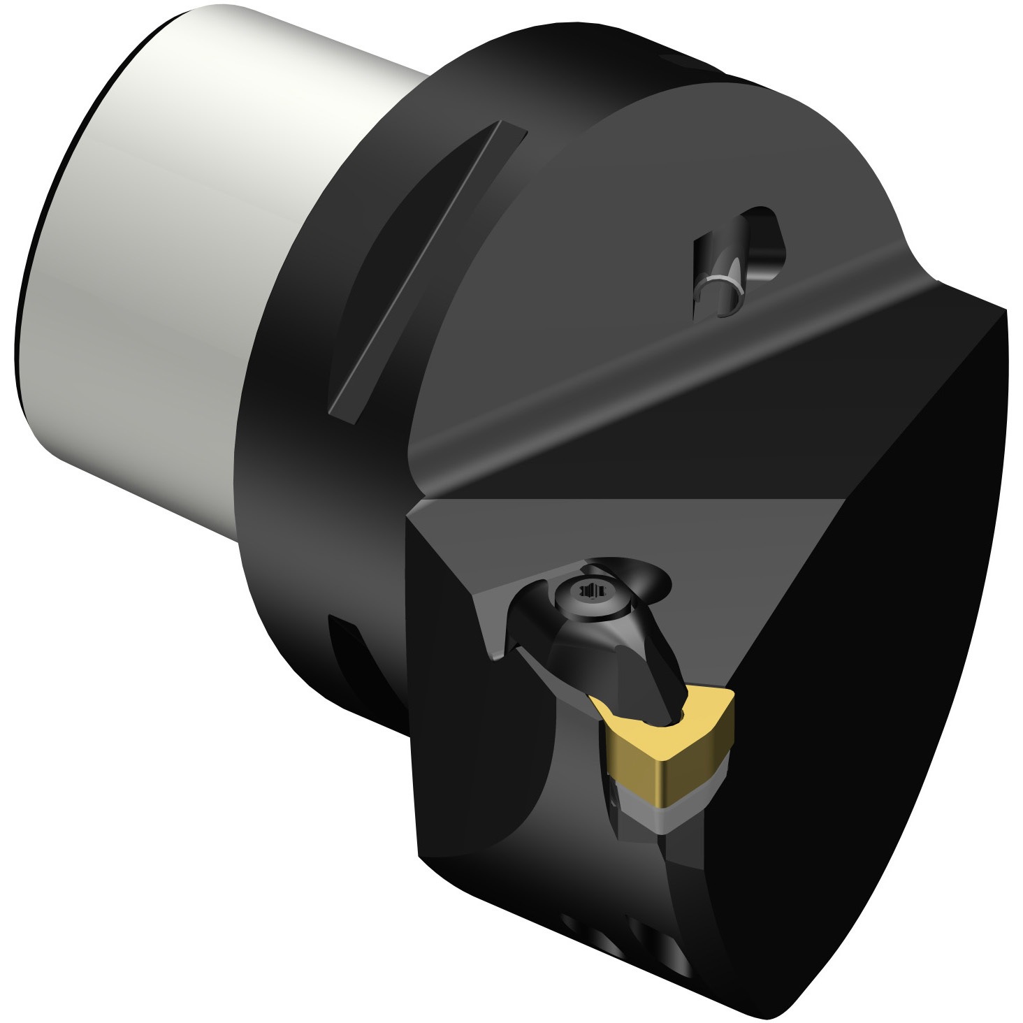 C6-DWLNL-45065-06 T-Max P 旋削加工用カッティングユニット カップリングサイズC6 1個 サンドビック 【通販モノタロウ】 27,725円