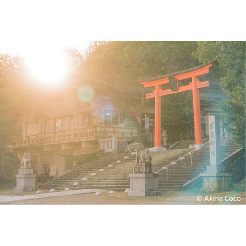 ソフト効果用 レンズフィルター ノスタルトーン・オレンジ Kenko