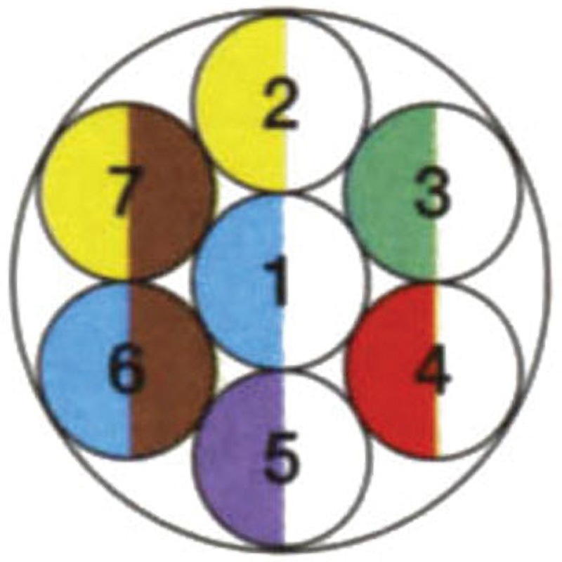 FCPEV0.9mmx7P 着色識別ポリエチレン絶縁ビニルシースケーブル FCPEV 伸興電線 全長30m導体外径0.9mm