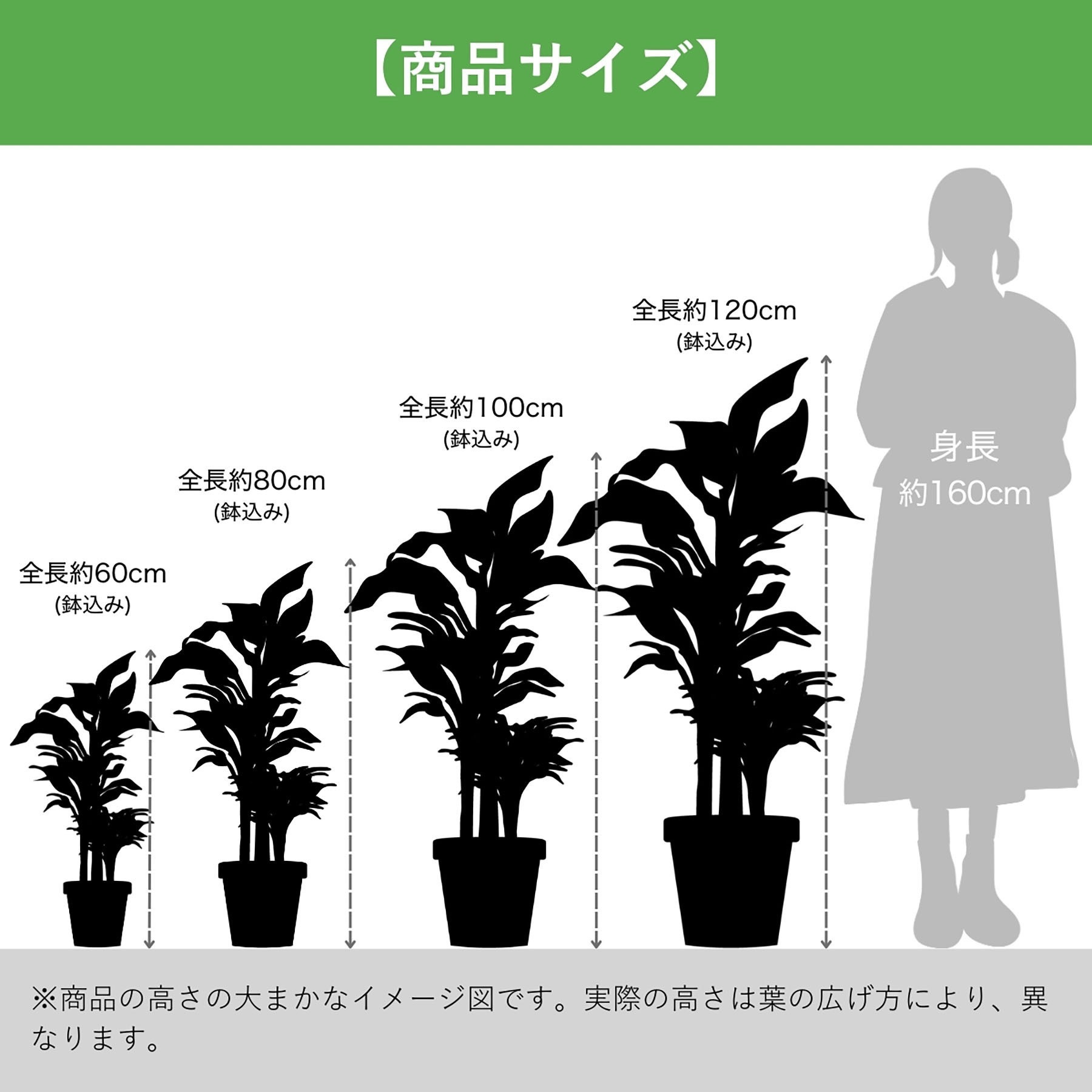 FH-S105025 光触媒インテリアグリーン 観葉植物 1本 エスエスケイ