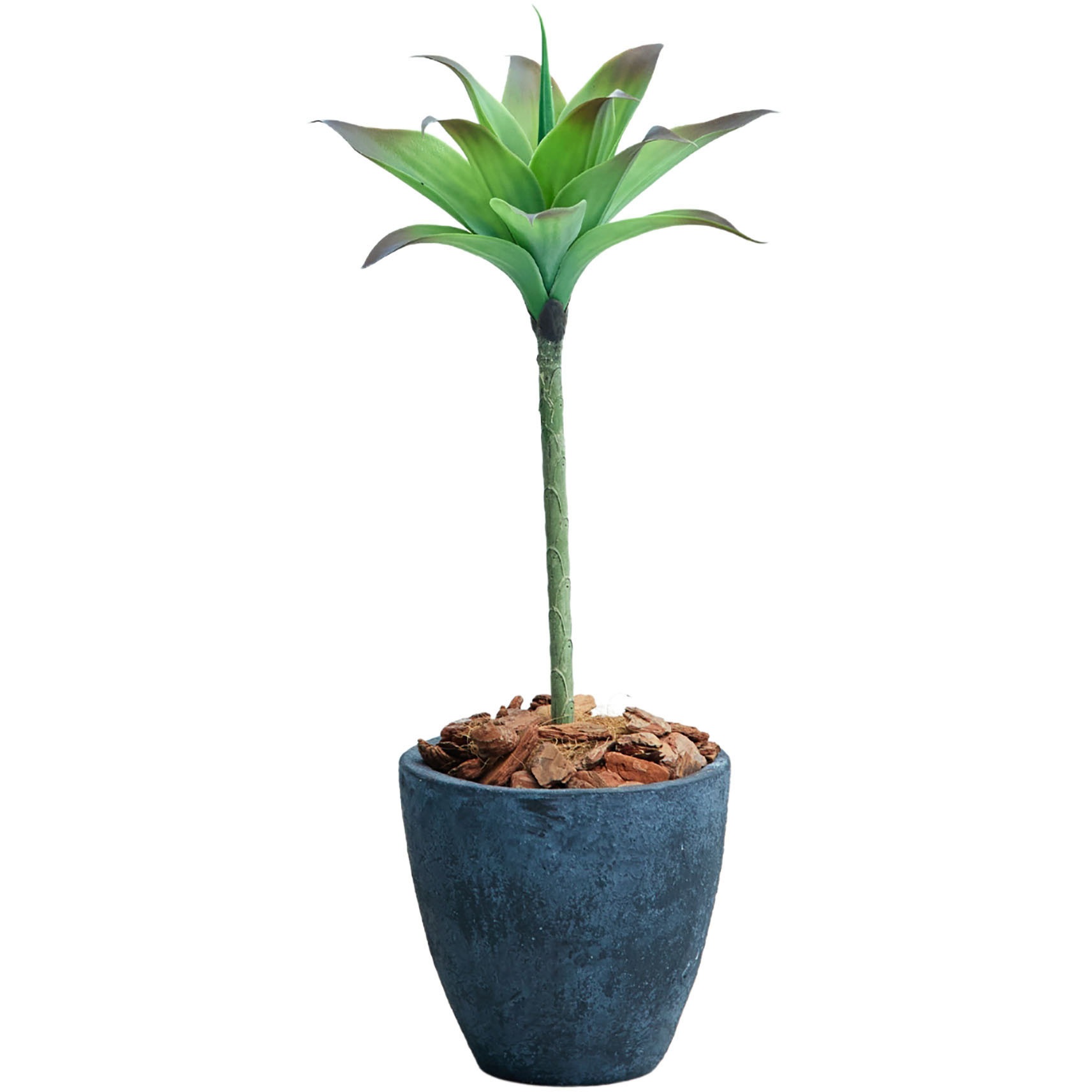 FH-SL701 光触媒インテリアグリーン 観葉植物 1本 エスエスケイ 【通販モノタロウ】