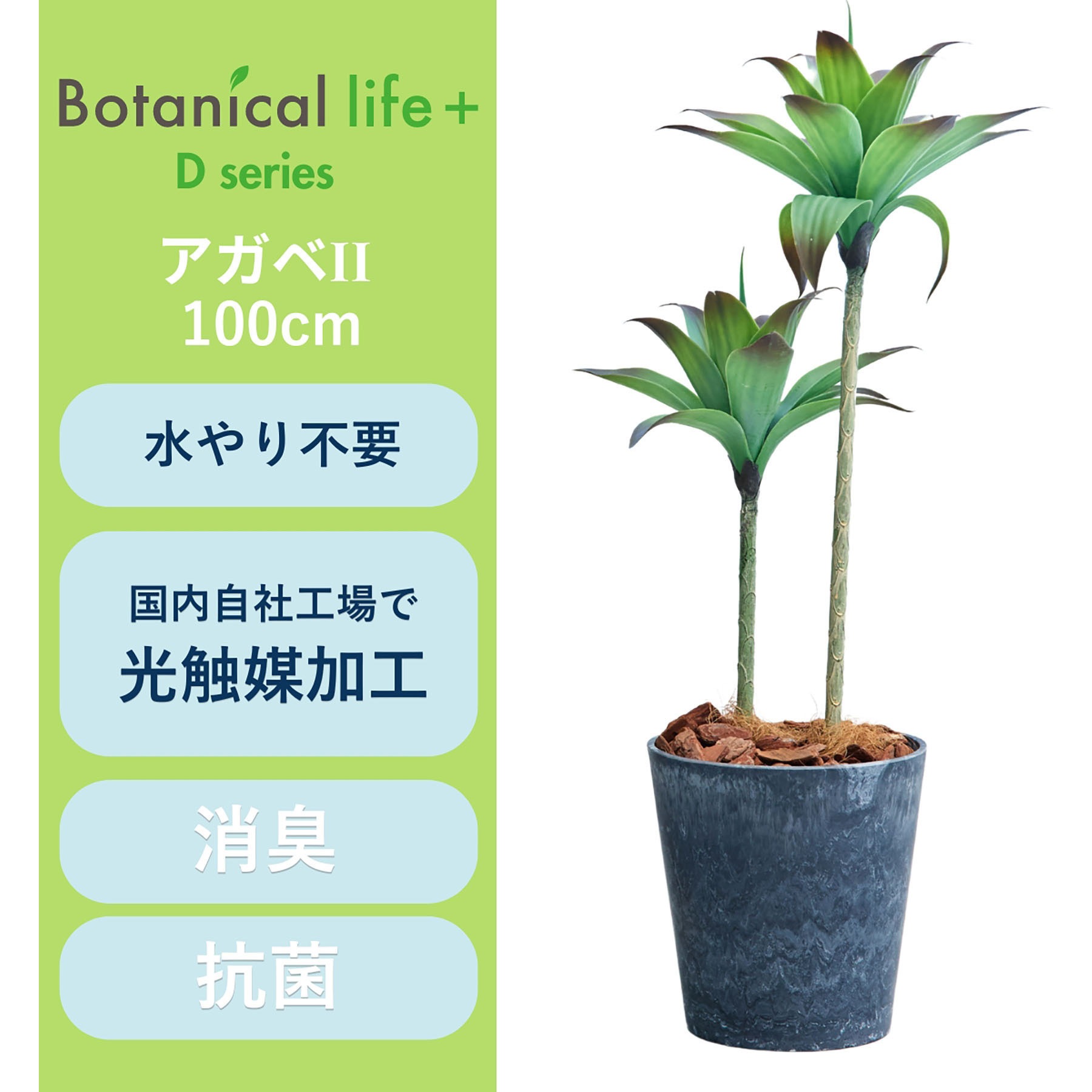 FH-SL902 光触媒インテリアグリーン 観葉植物 1本 エスエスケイ 【通販