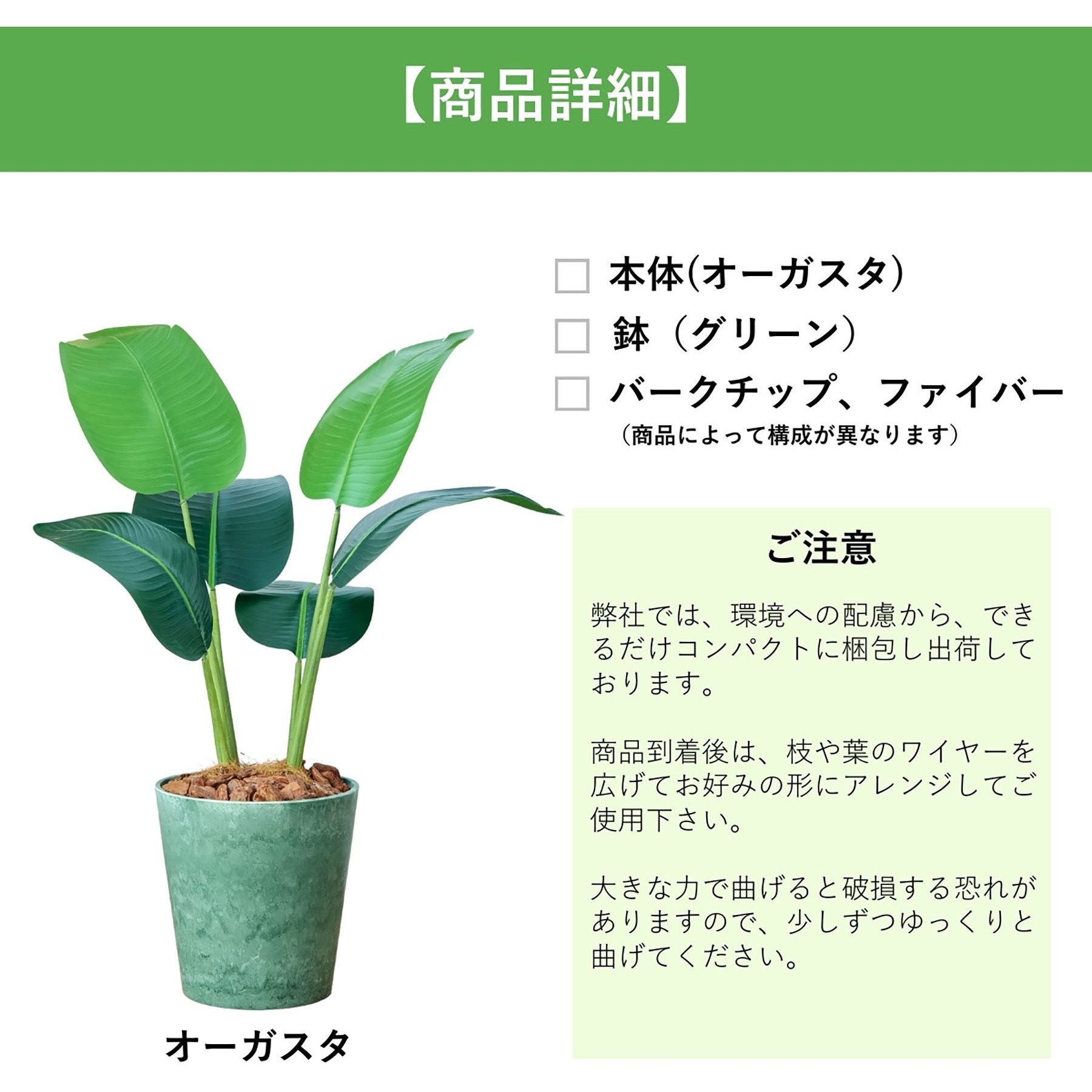 光触媒 観葉植物の通販