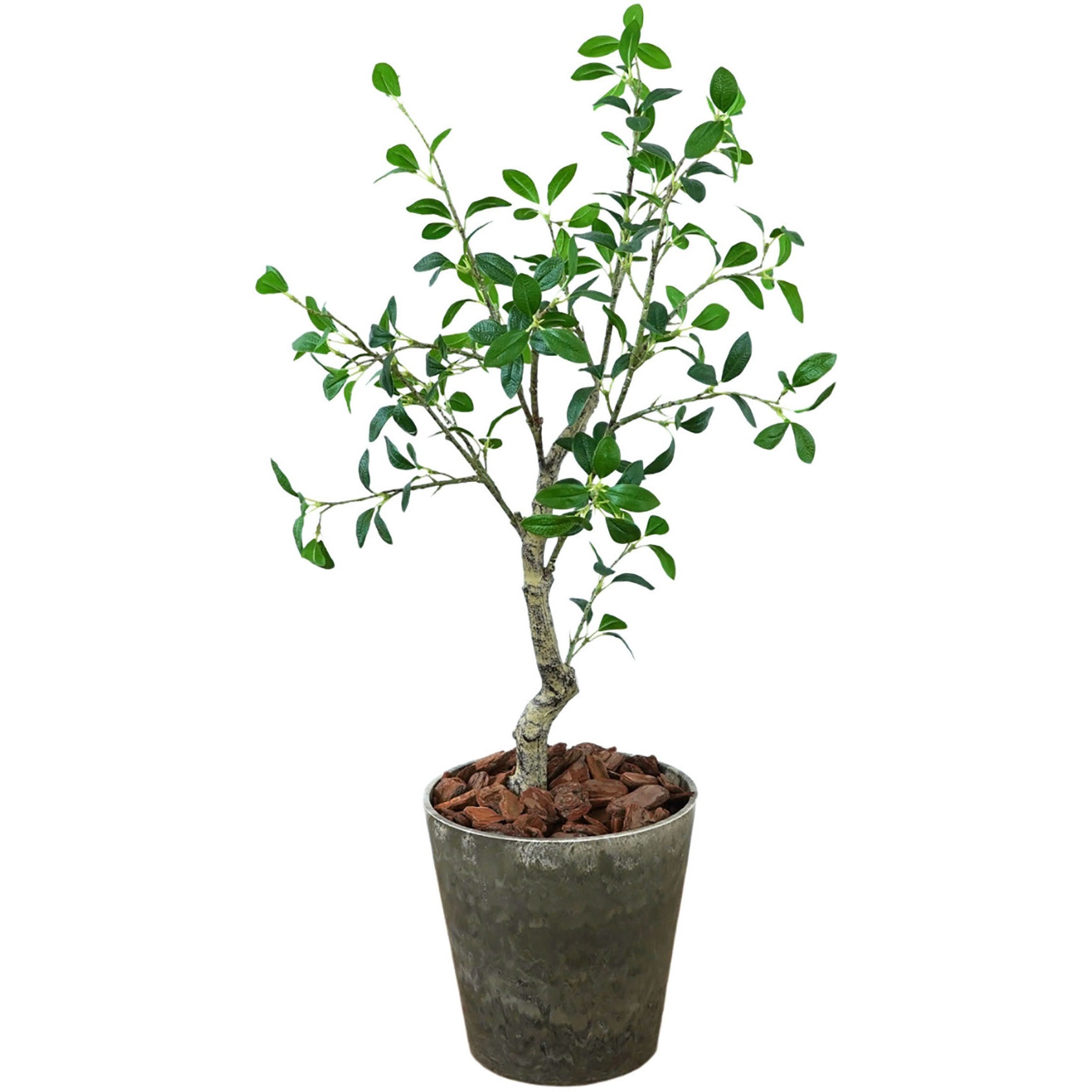 FH-JH90200 光触媒インテリアグリーン 観葉植物 1本 エスエスケイ 【通販モノタロウ】
