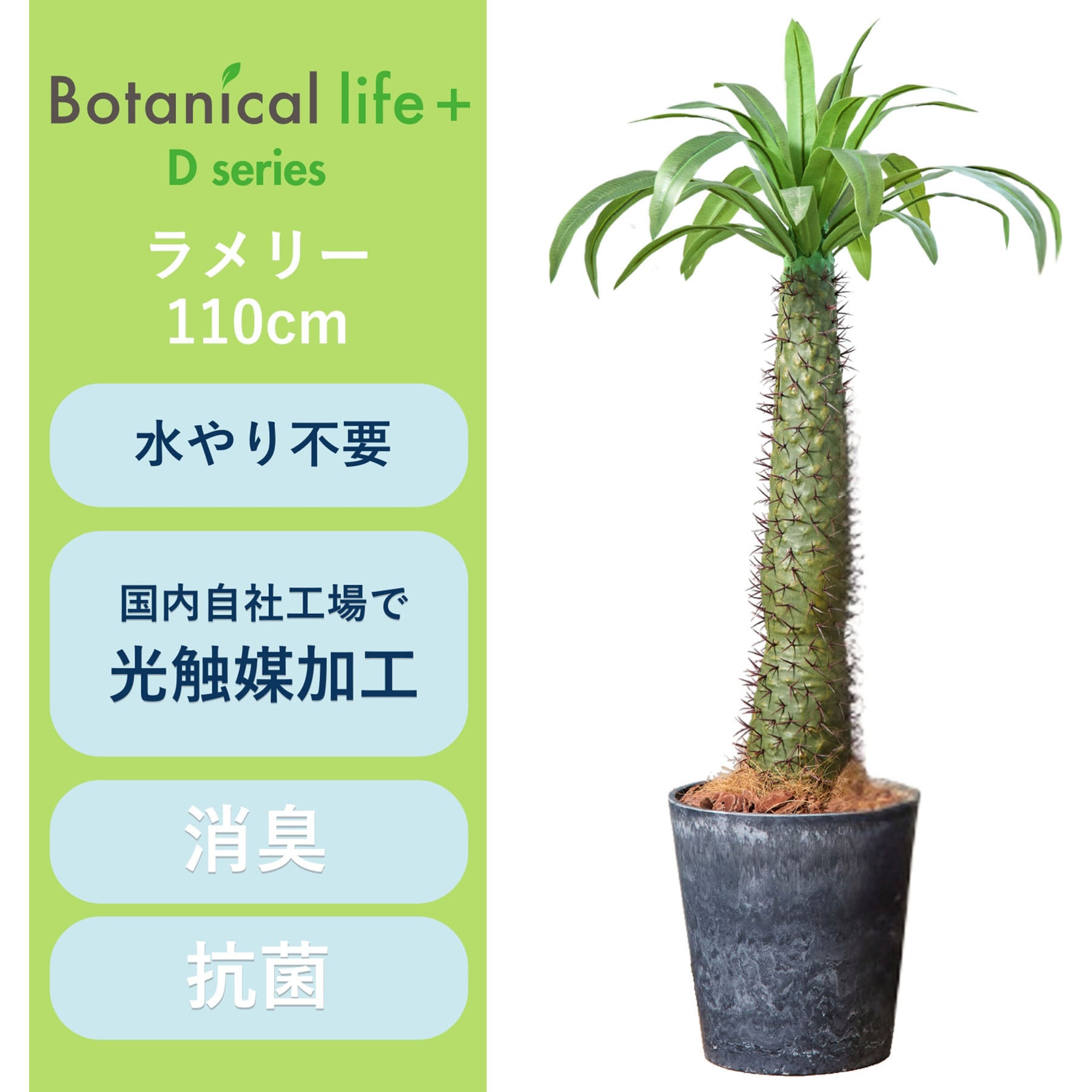 FH-S105025 光触媒インテリアグリーン 観葉植物 1本 エスエスケイ