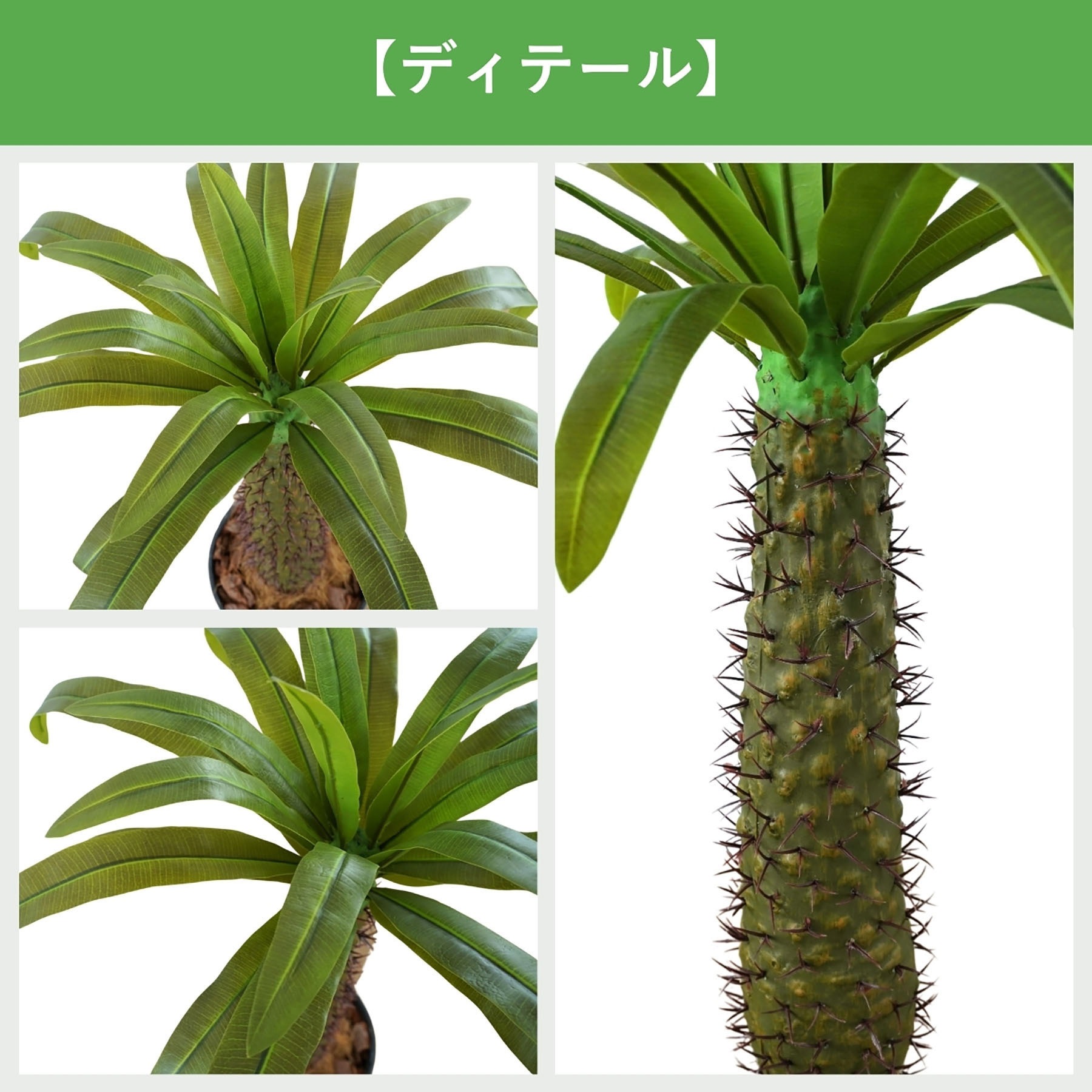FH-S105025 光触媒インテリアグリーン 観葉植物 1本 エスエスケイ
