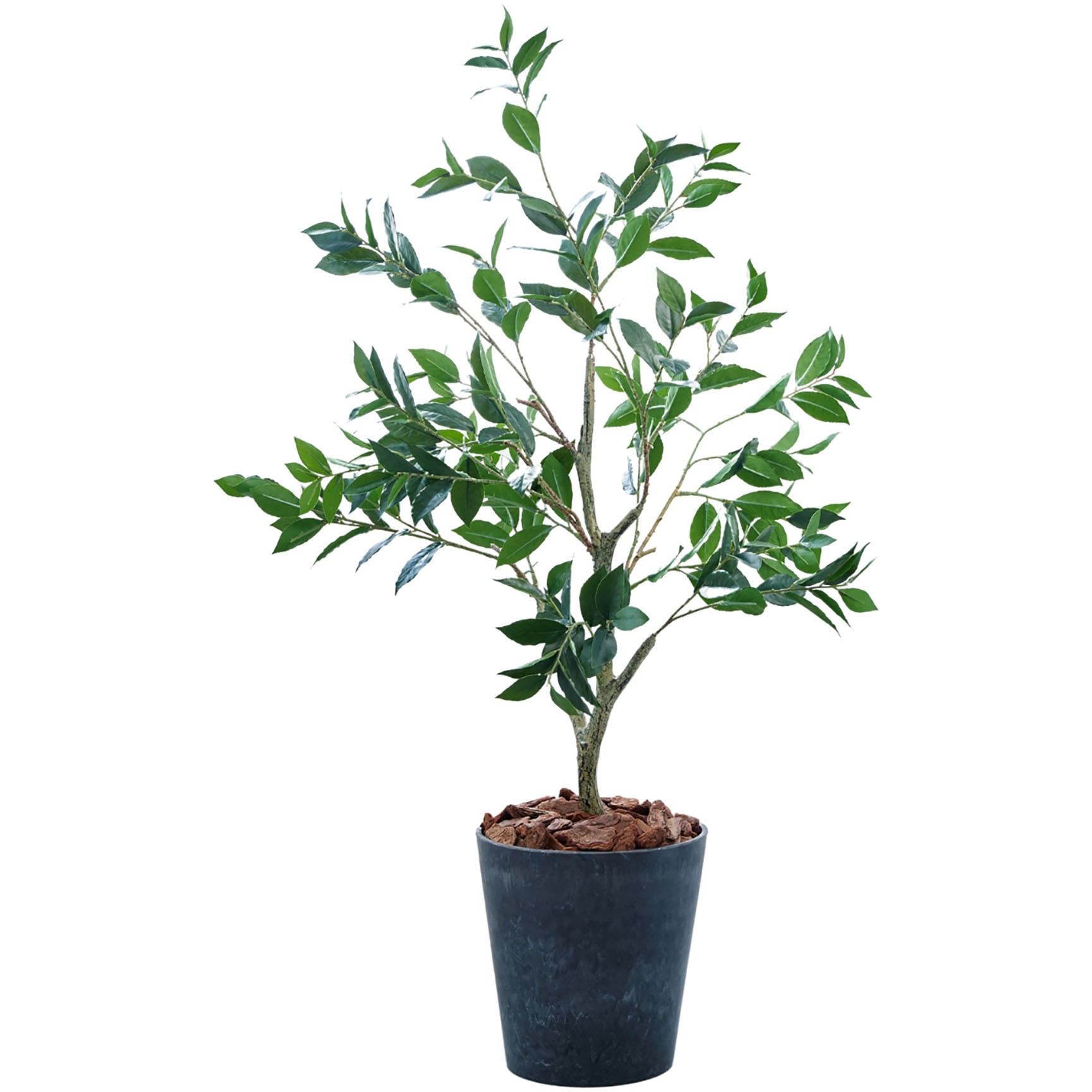 FH-YG12050 光触媒インテリアグリーン 観葉植物 1本 エスエスケイ 【通販モノタロウ】