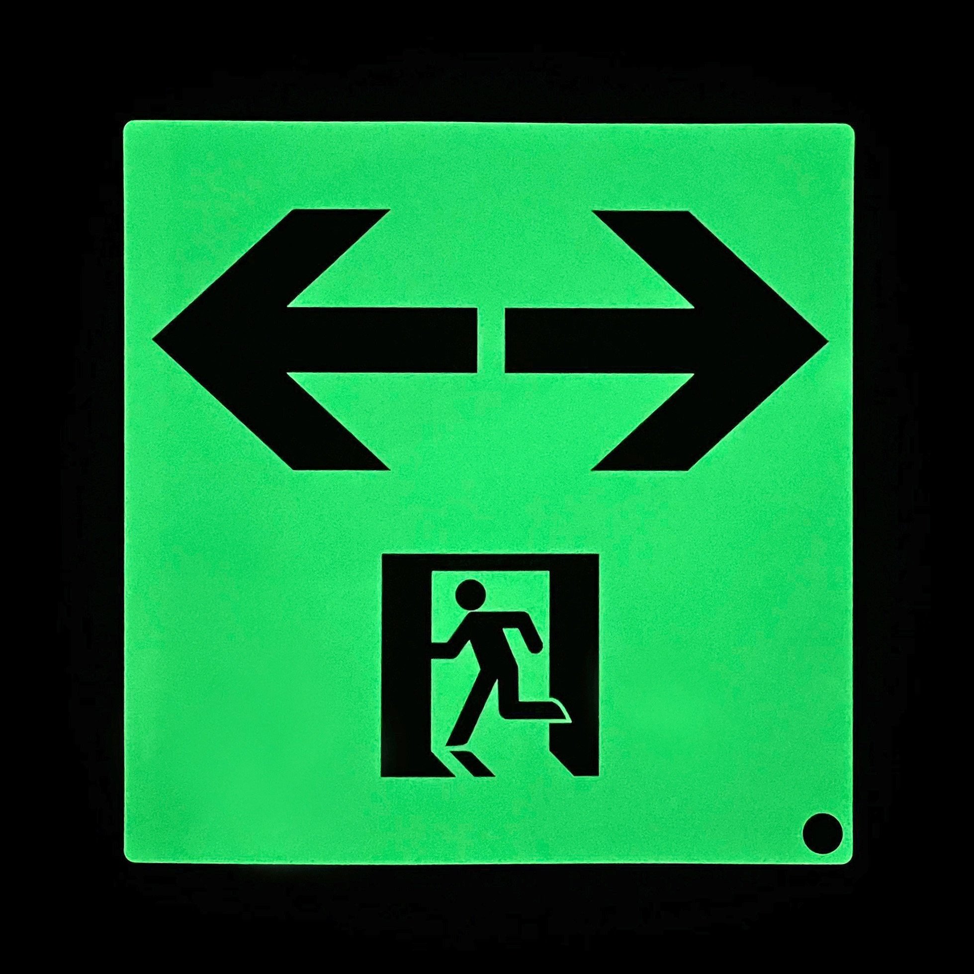 ASN943 高輝度蓄光式誘導標識 消防認定品 A級品 エルティーアイ