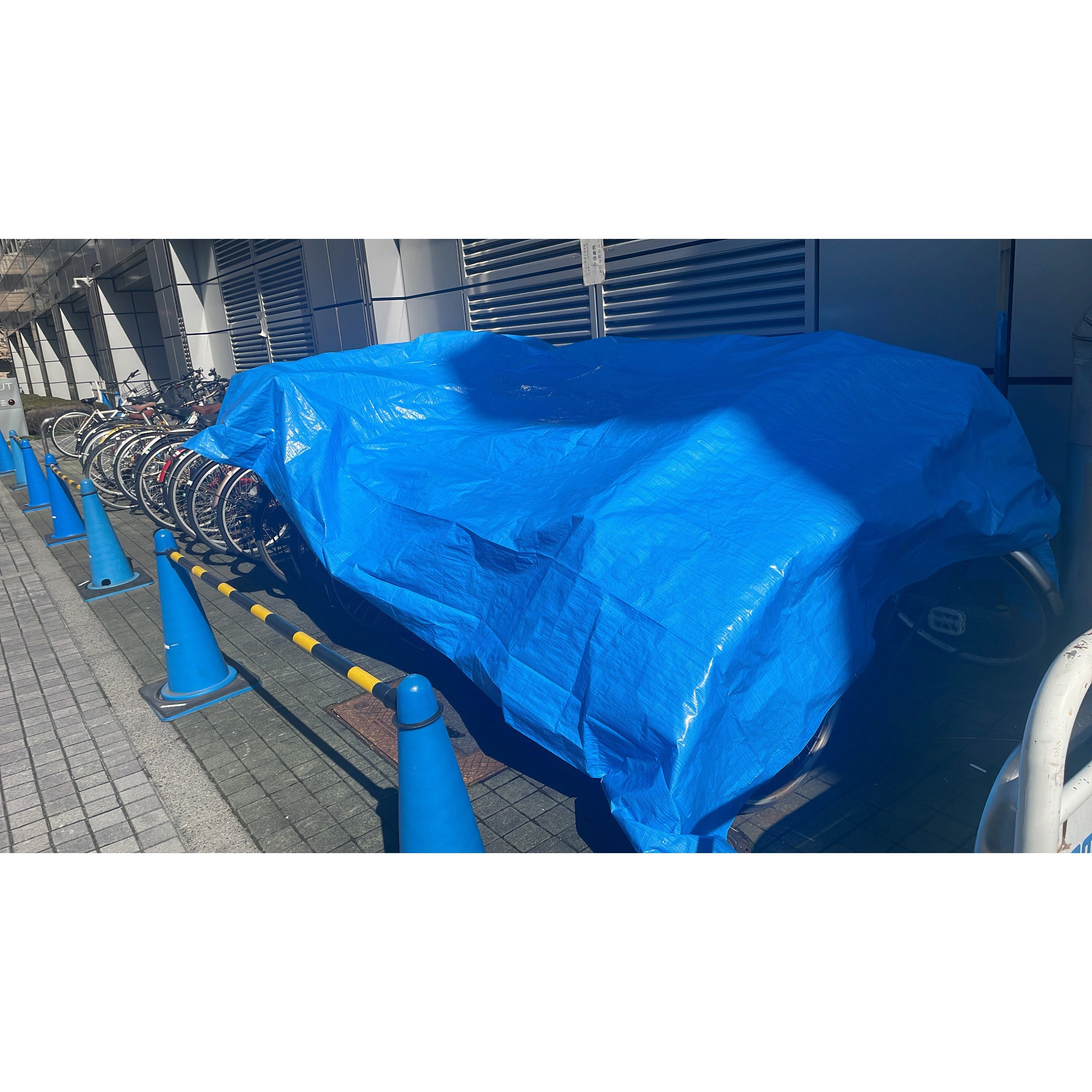 BSL20-1818 ブルーシート #2000 TRUSCO 折り畳みタイプ 幅1.7m長さ1.7m