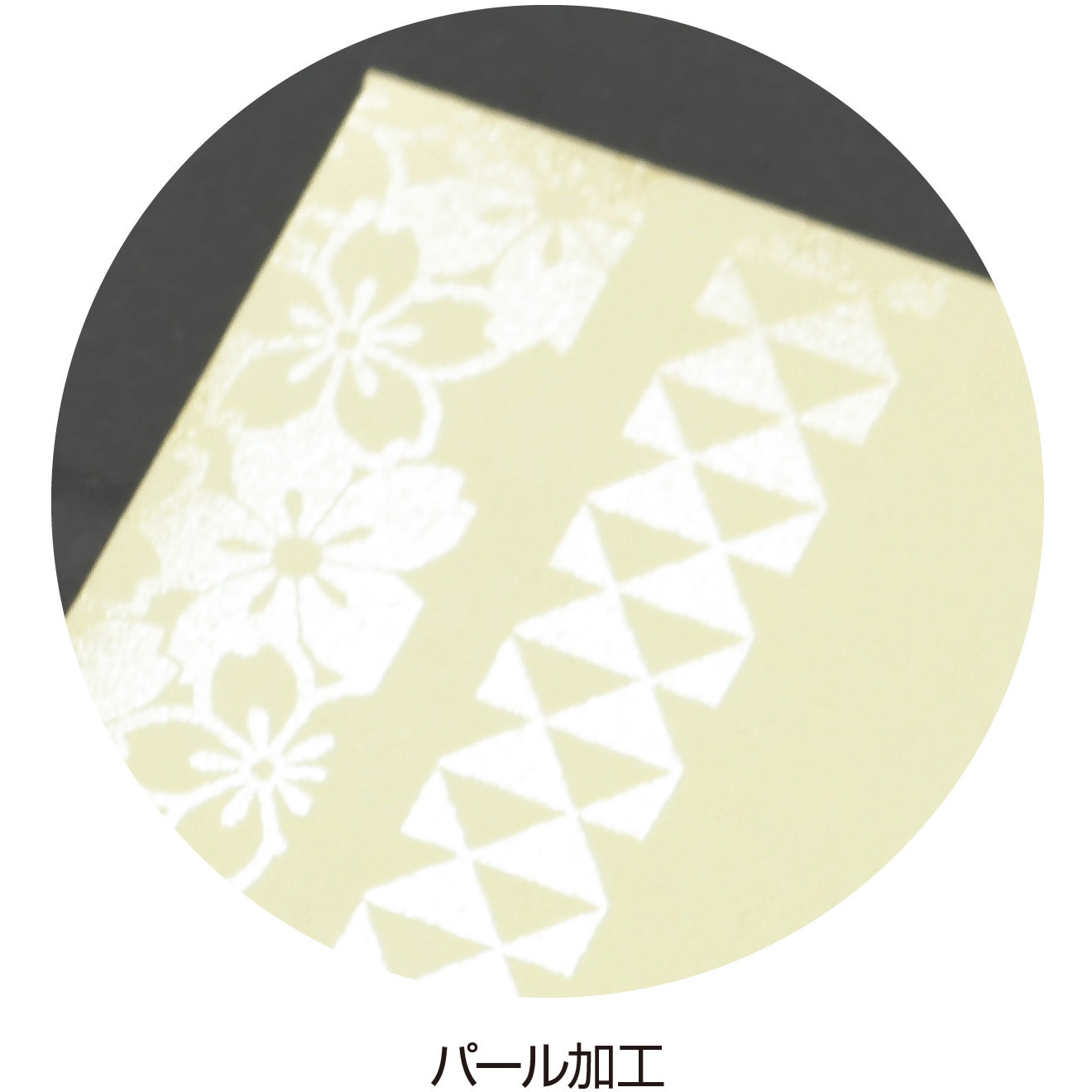 5-3898 ポチ袋 結びポチ タカ印(ササガワ) お年玉・目録 封緘