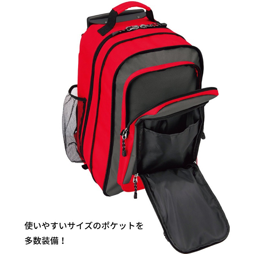 NK-7517-71 2WAYキャリーバッグ MLキャリー 1個 Nittaku(ニッタク