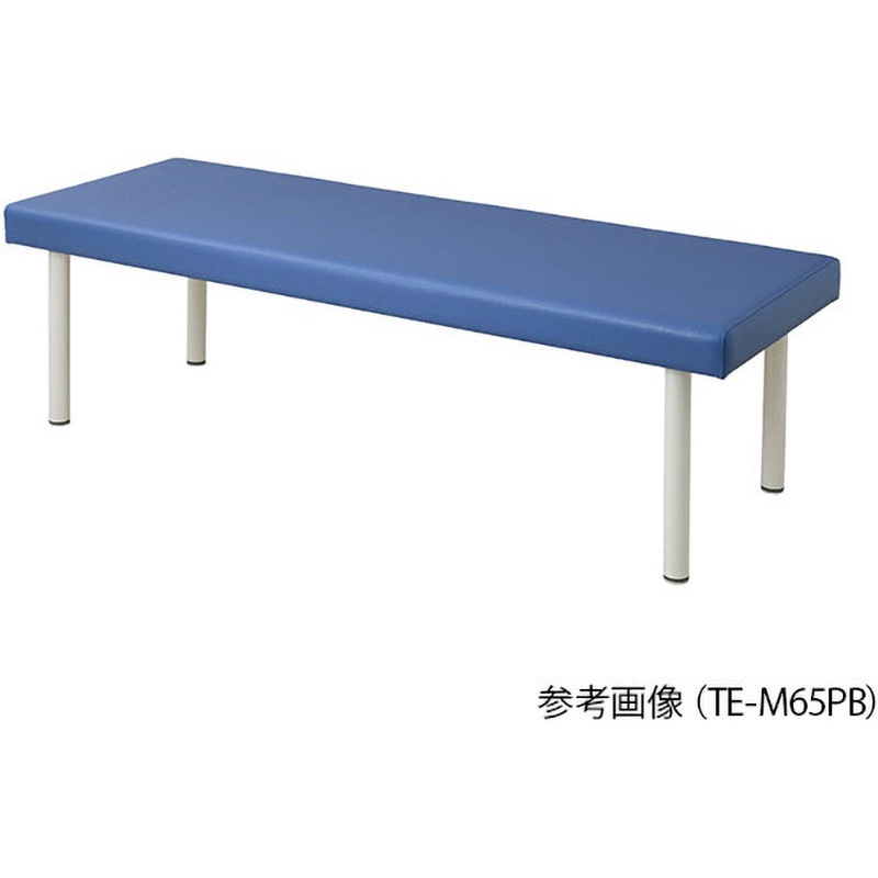 TE-H7019PB カラフル診察台 700×1900×600mm ナビス(アズワン) ライトブルー色  1個 TE-H7019PB