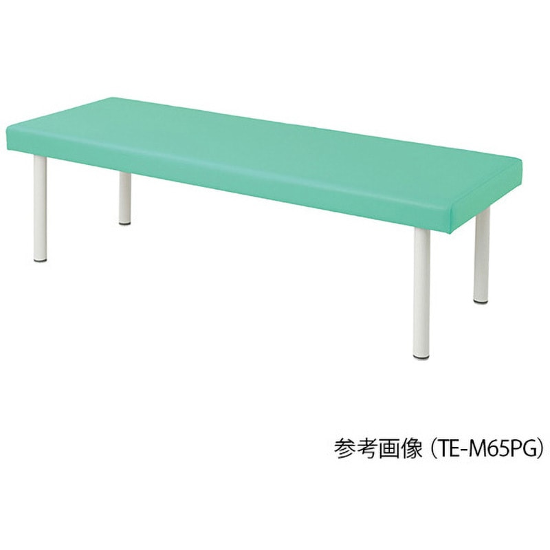 TE-H7019PG カラフル診察台 700×1900×600mm ナビス(アズワン) ライトグリーン色  1個 TE-H7019PG